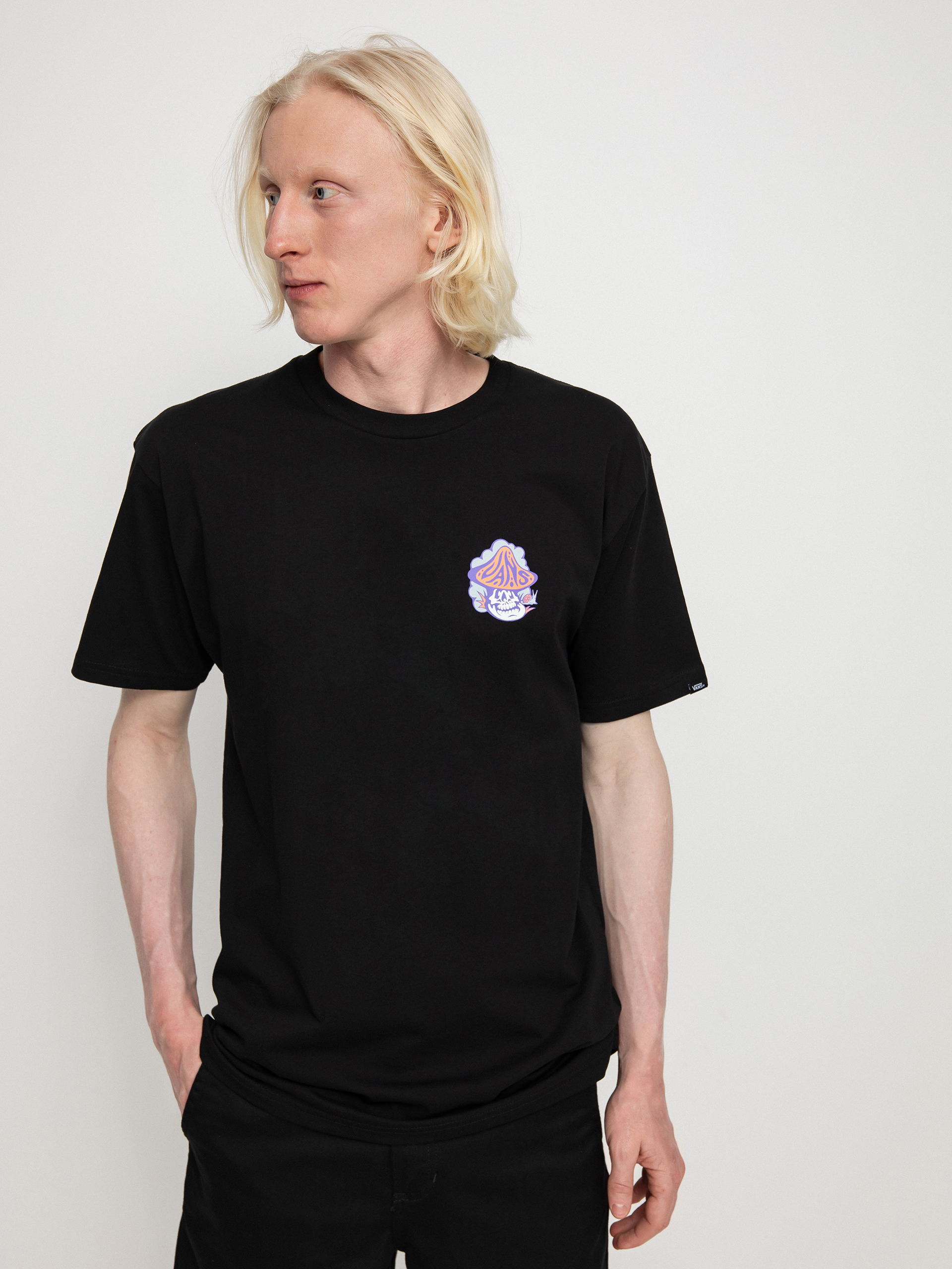 T-shirt Vans Cloudy Day (black)
