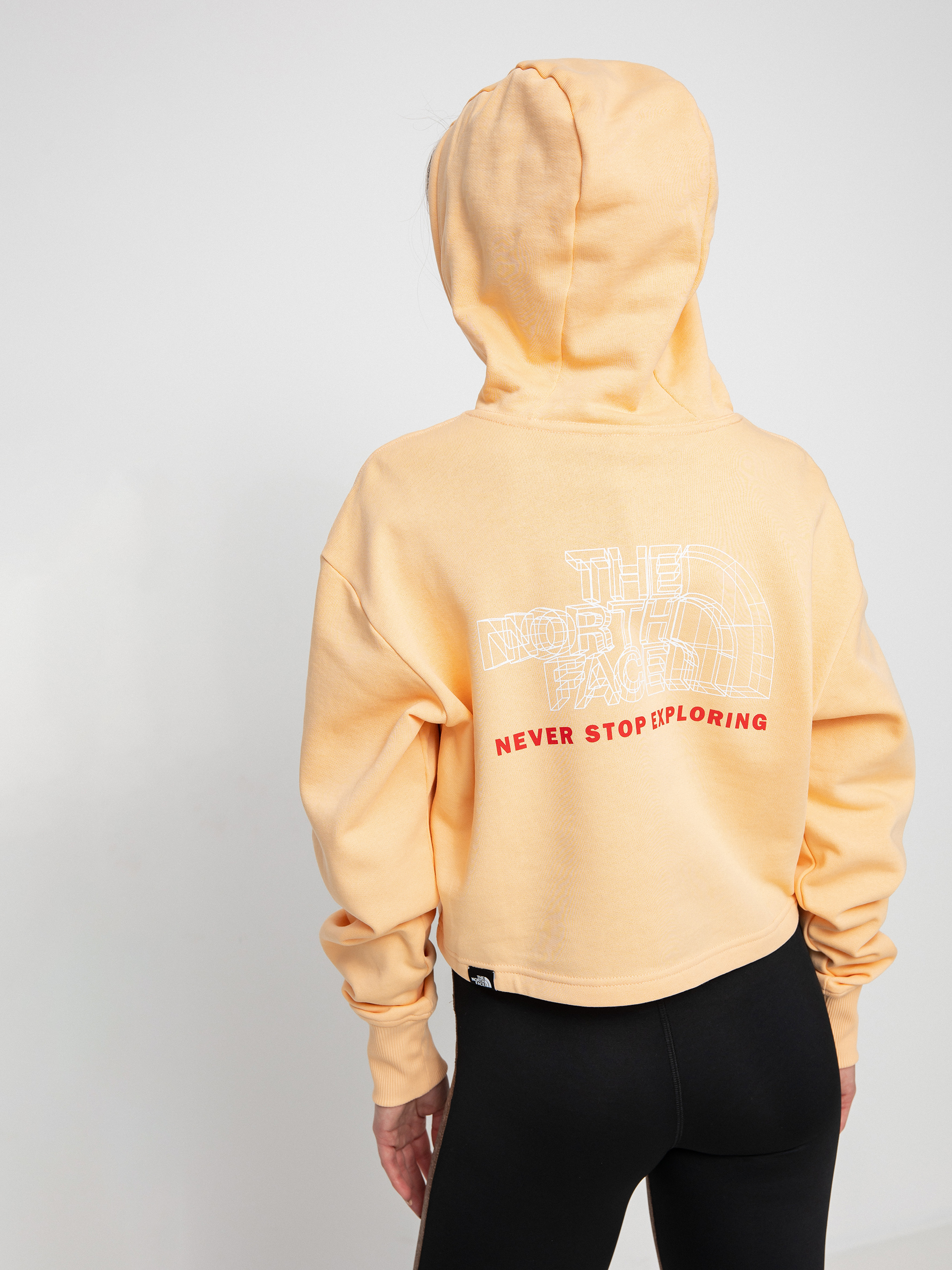 Bluza z kapturem The North Face Coordinates Crop HD Wmn (apricot ice)