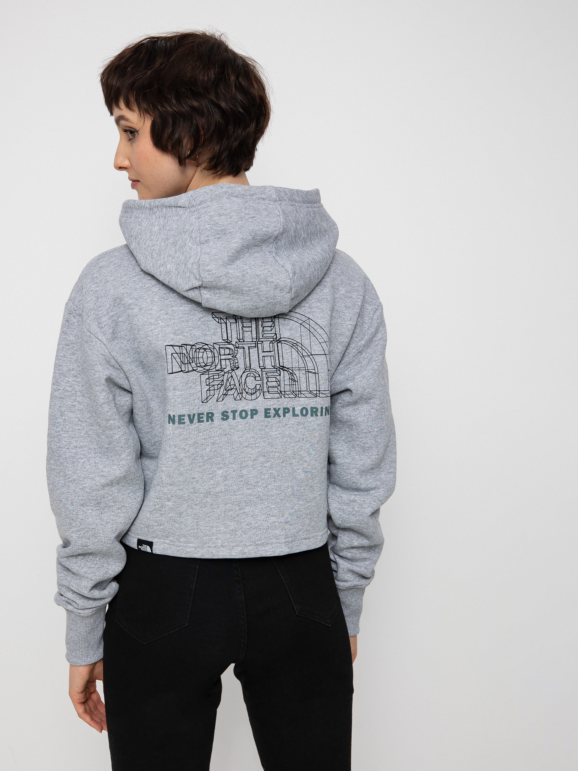 Bluza z kapturem The North Face Coordinates Crop HD Wmn (tnf light grey heather)