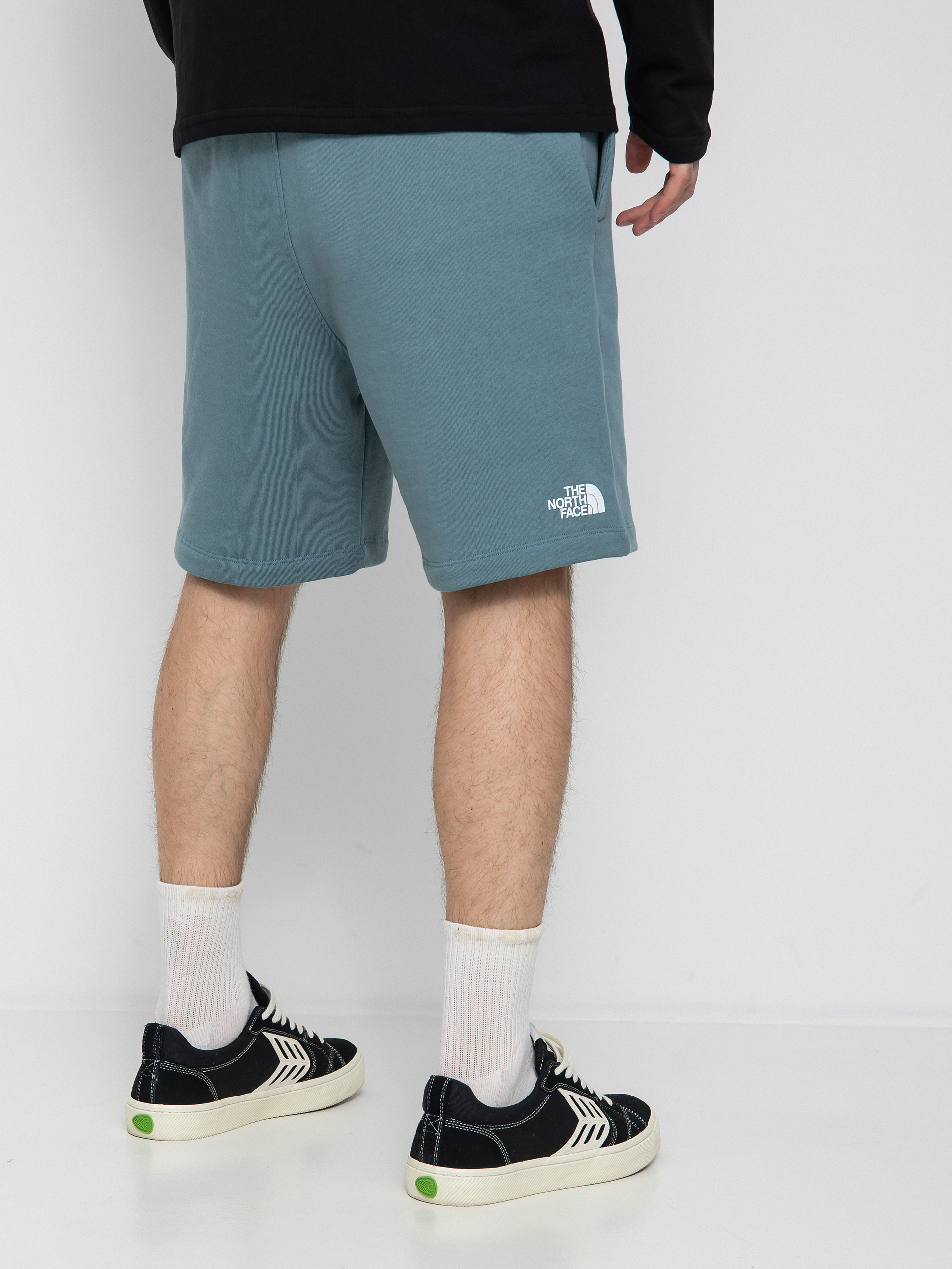 Szorty The North Face Coordinates (goblin blue)