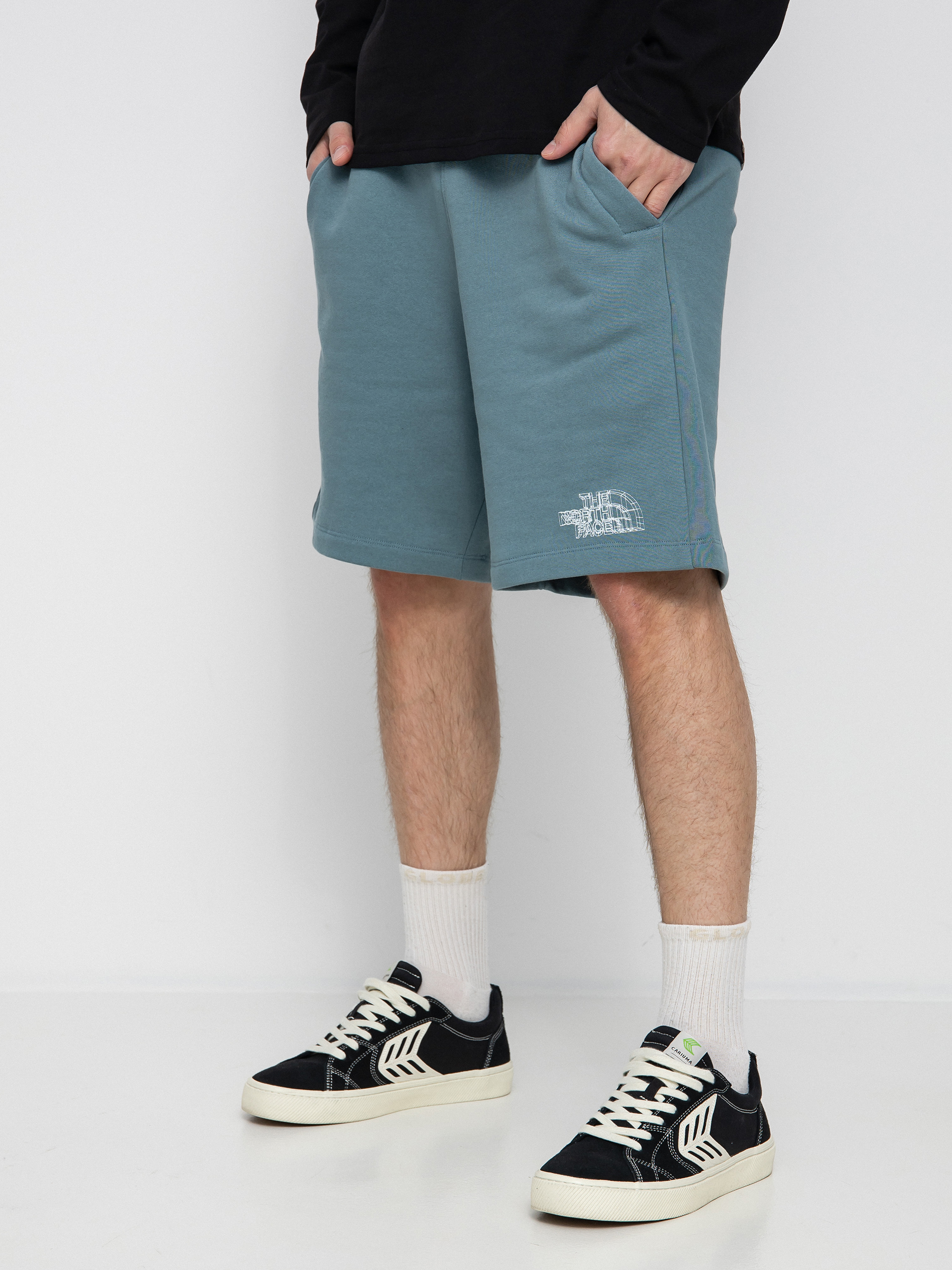 Szorty The North Face Coordinates (goblin blue)