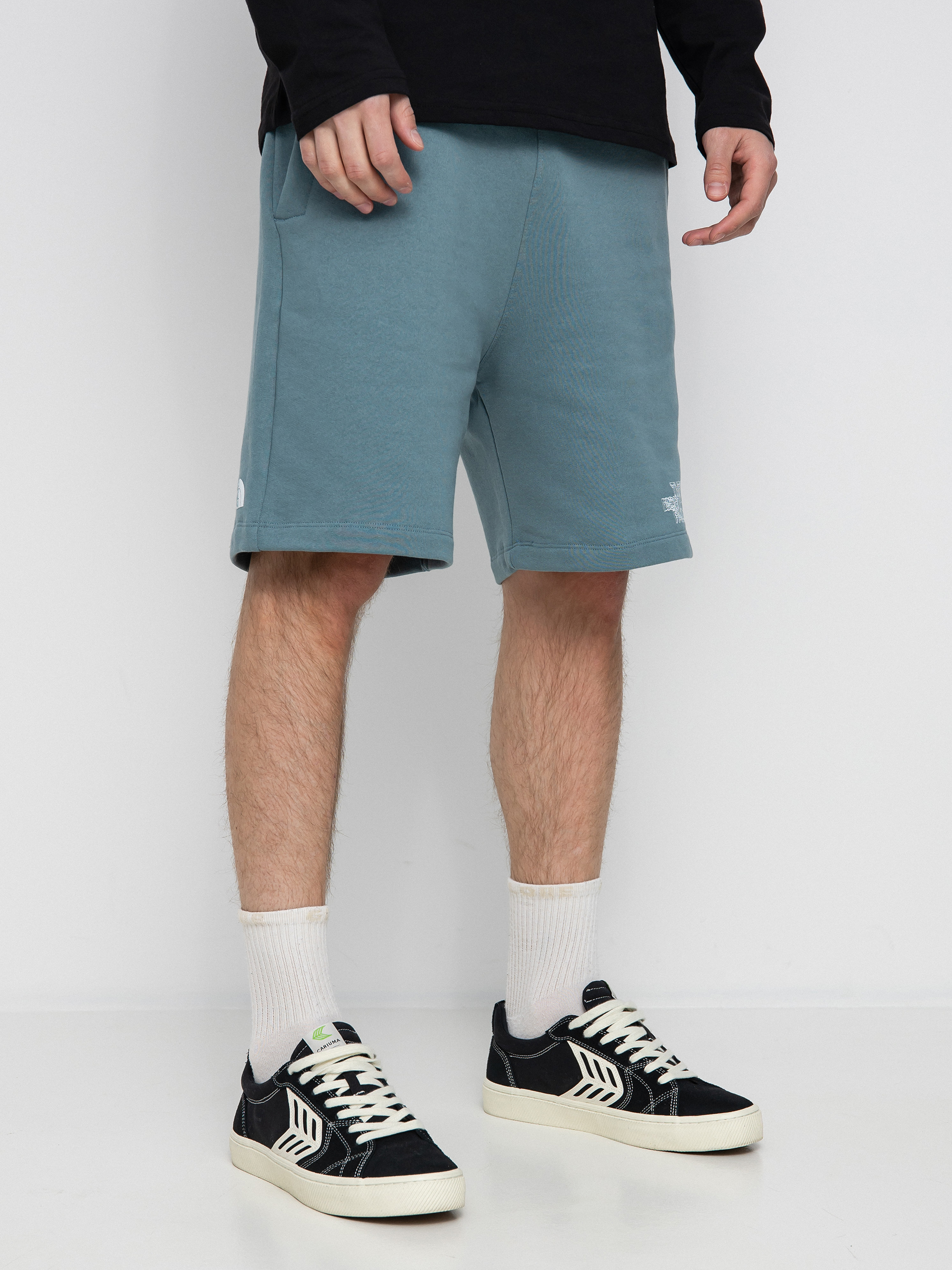 Szorty The North Face Coordinates (goblin blue)