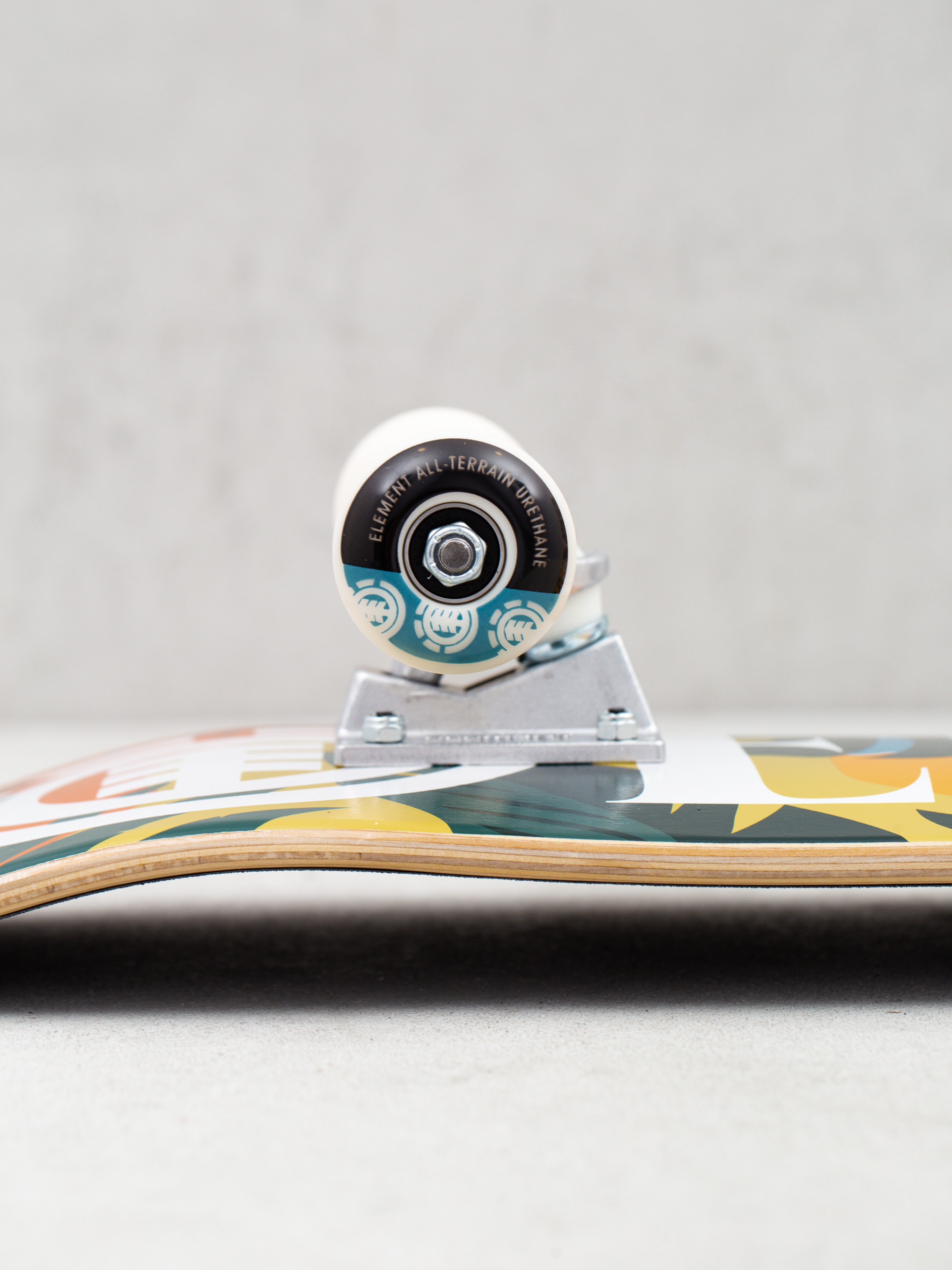 Deskorolka Element Monstera (assorted)