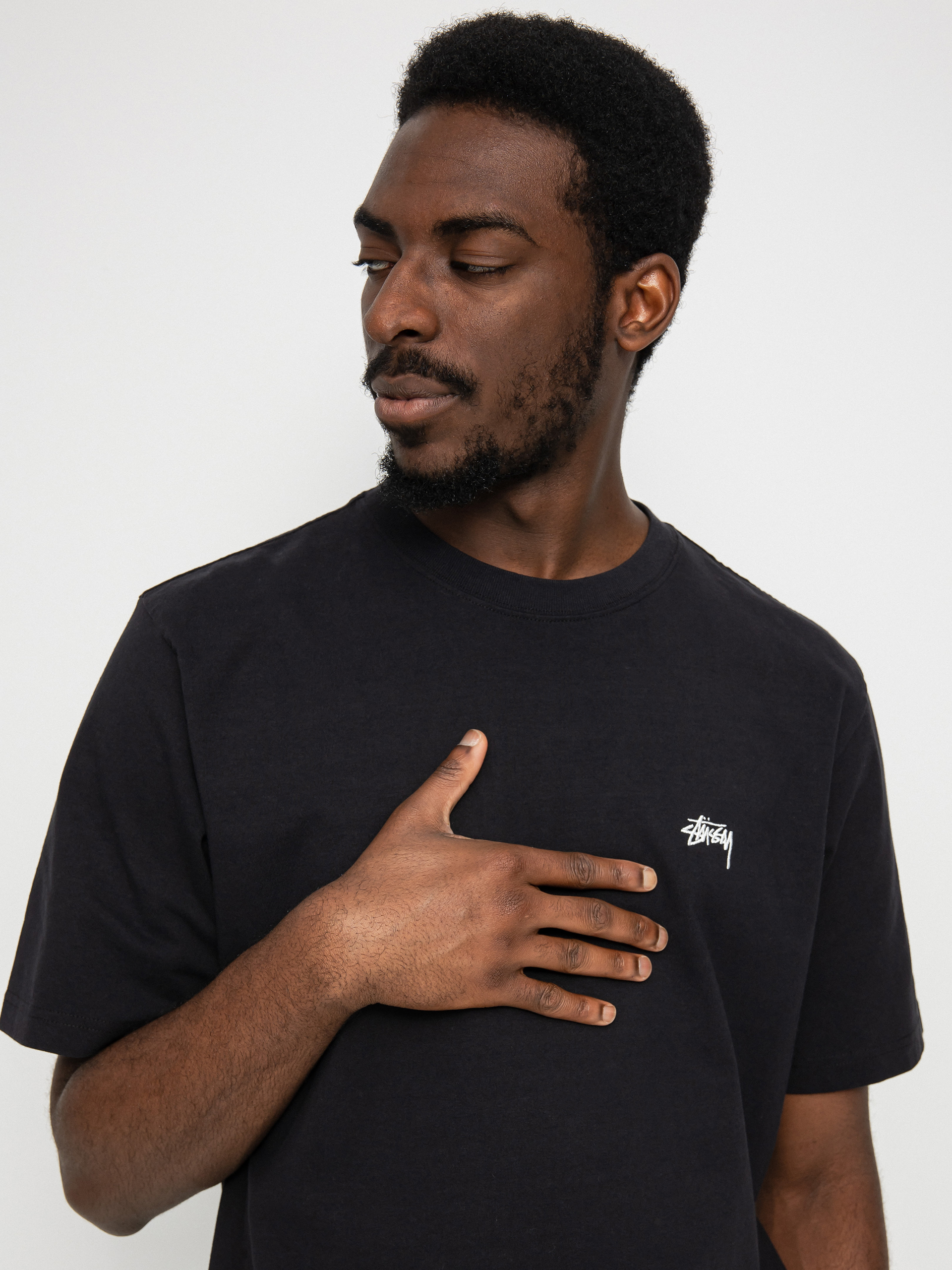 T-shirt Stussy Stock Logo Crew (black22)