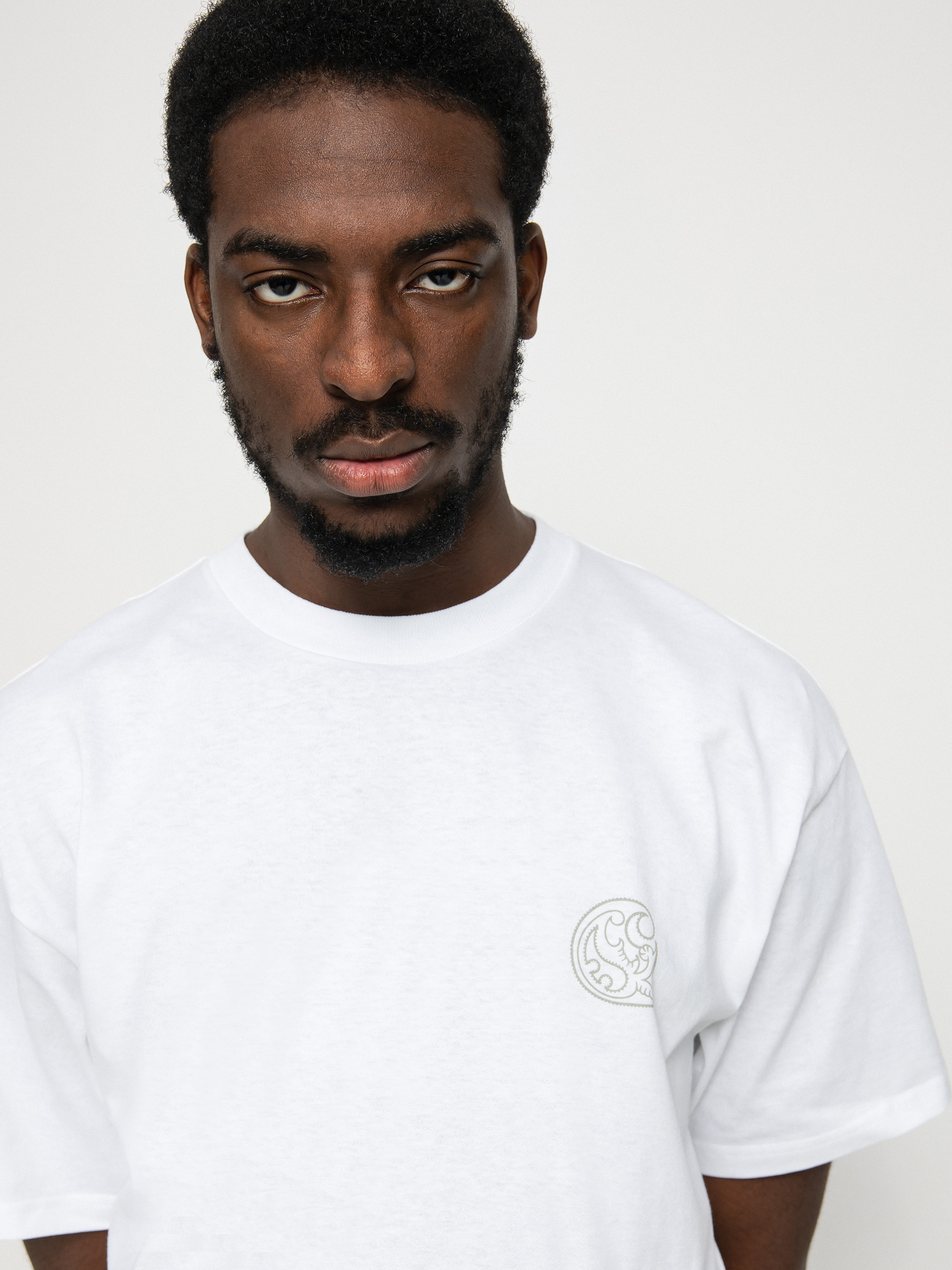 T-shirt Carhartt WIP Verse Patch (white)