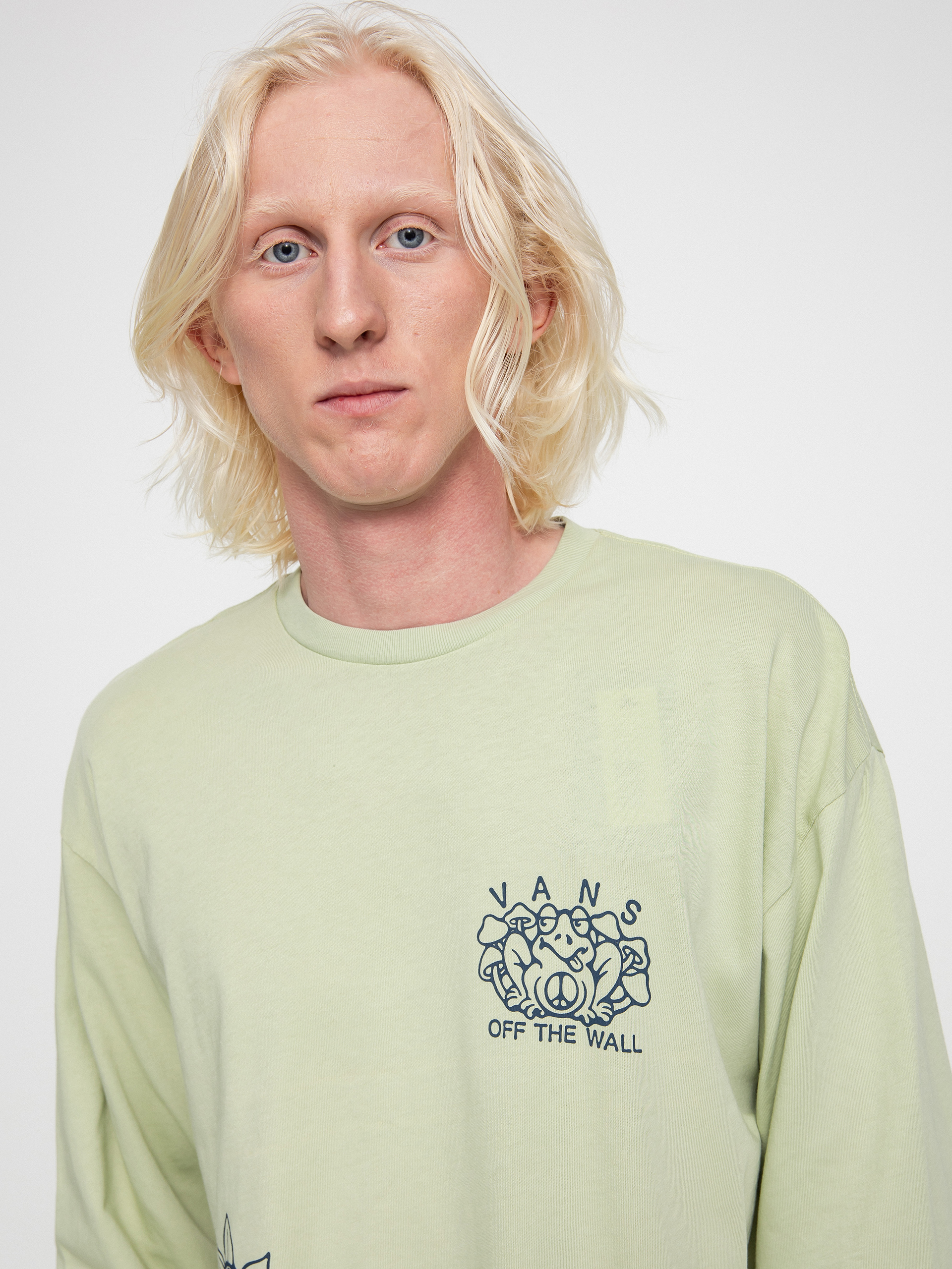 Longsleeve Vans Vintage Peace Of Mind (celadon green)