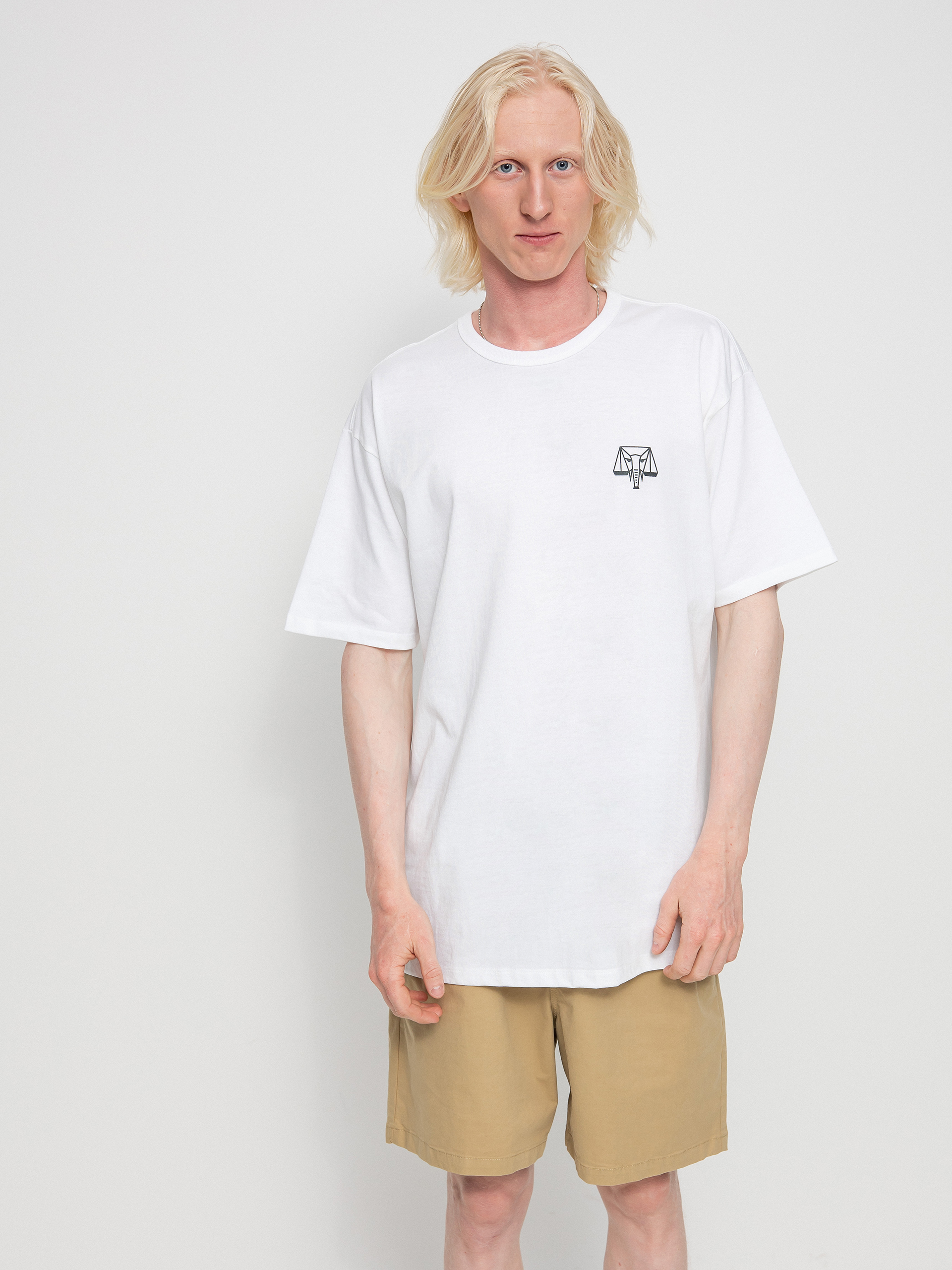 T-shirt Vans X Courage Adams Otw (white)