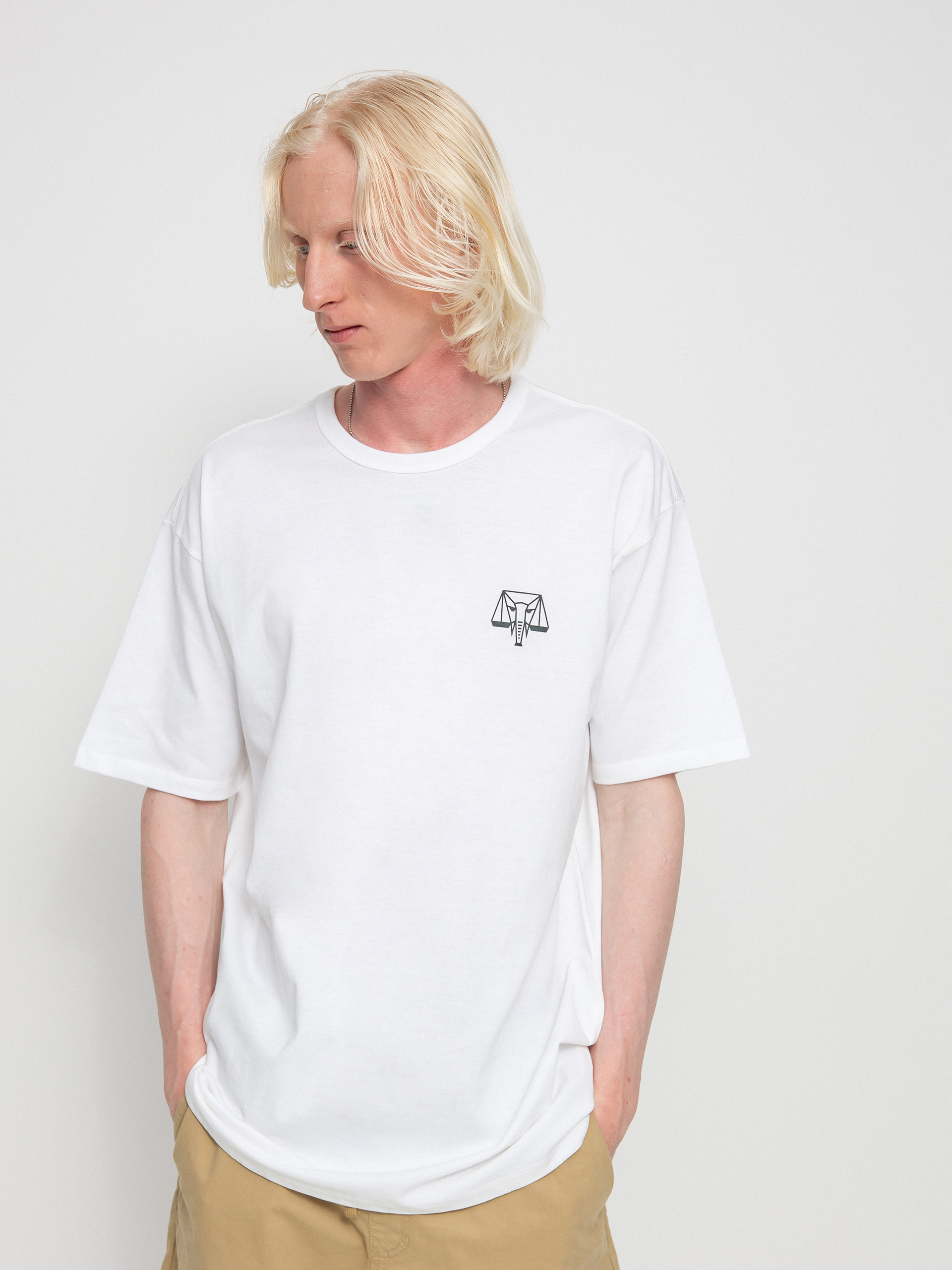 T-shirt Vans X Courage Adams Otw (white)