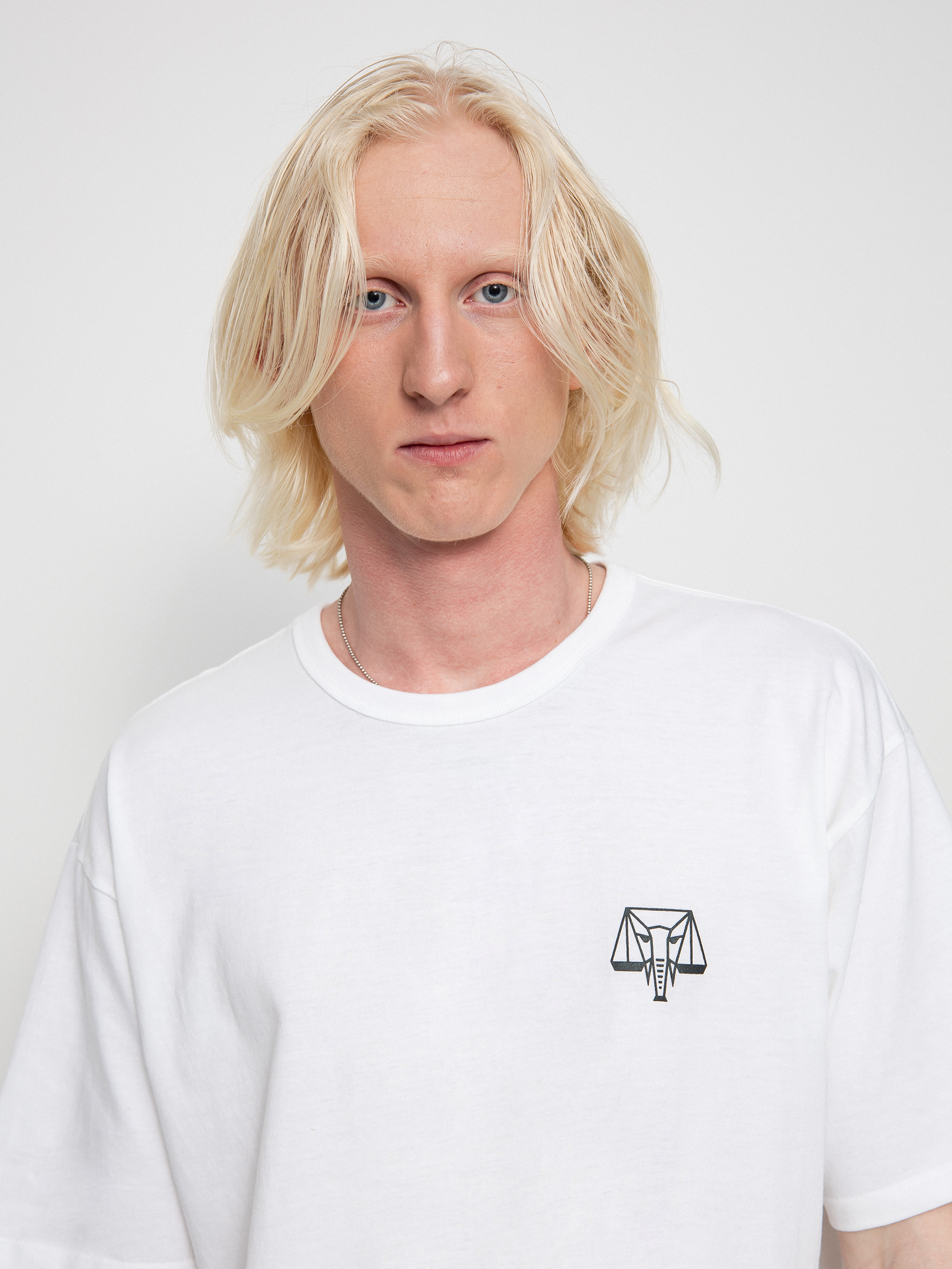 T-shirt Vans X Courage Adams Otw (white)