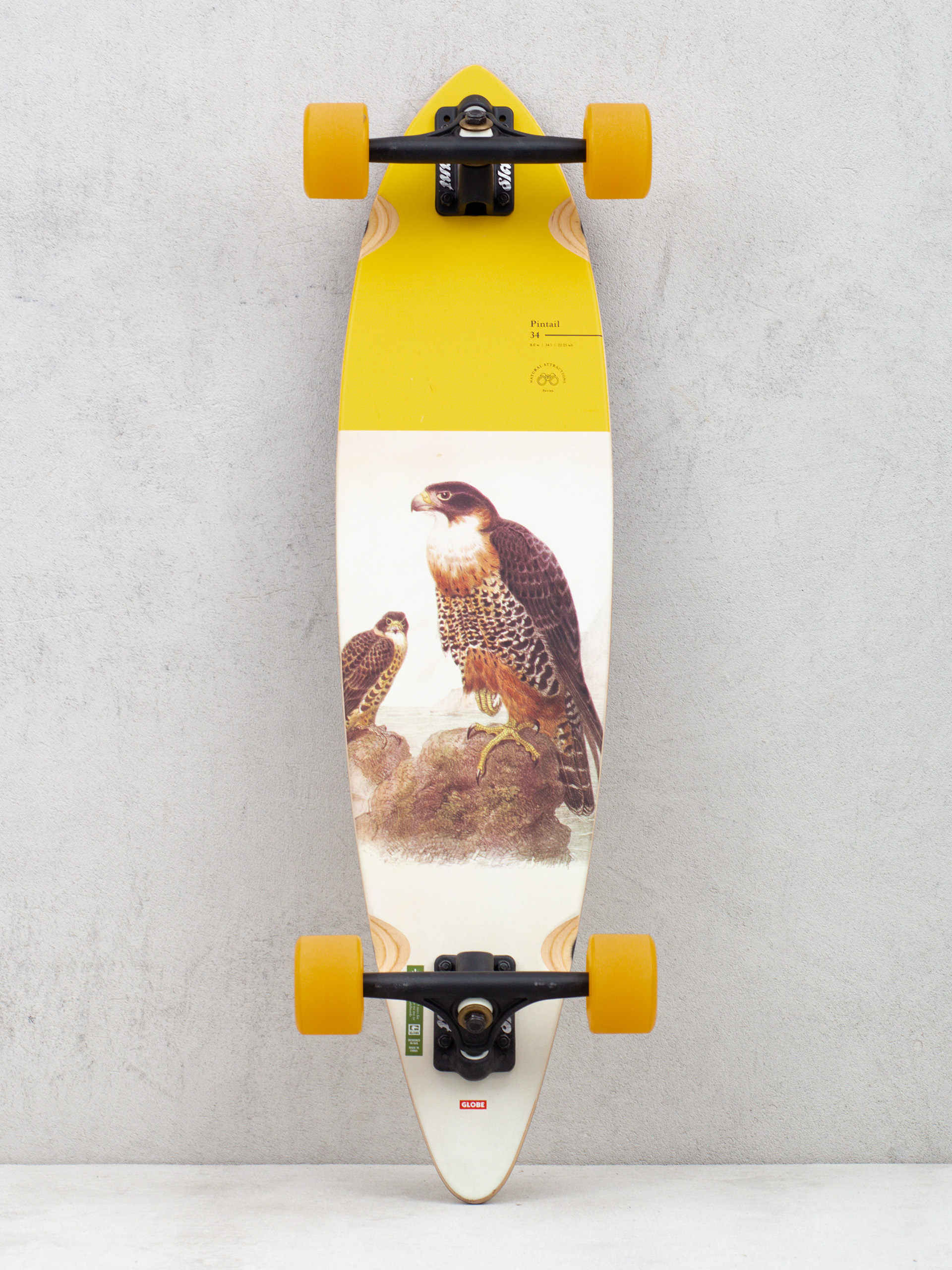 Longboard Globe Pintail (falcon)