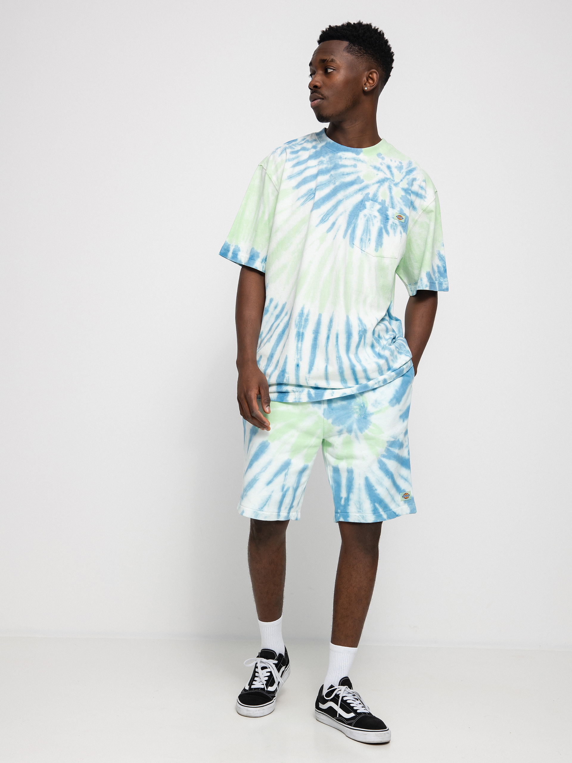 T-shirt Dickies Seatac (celadon green)