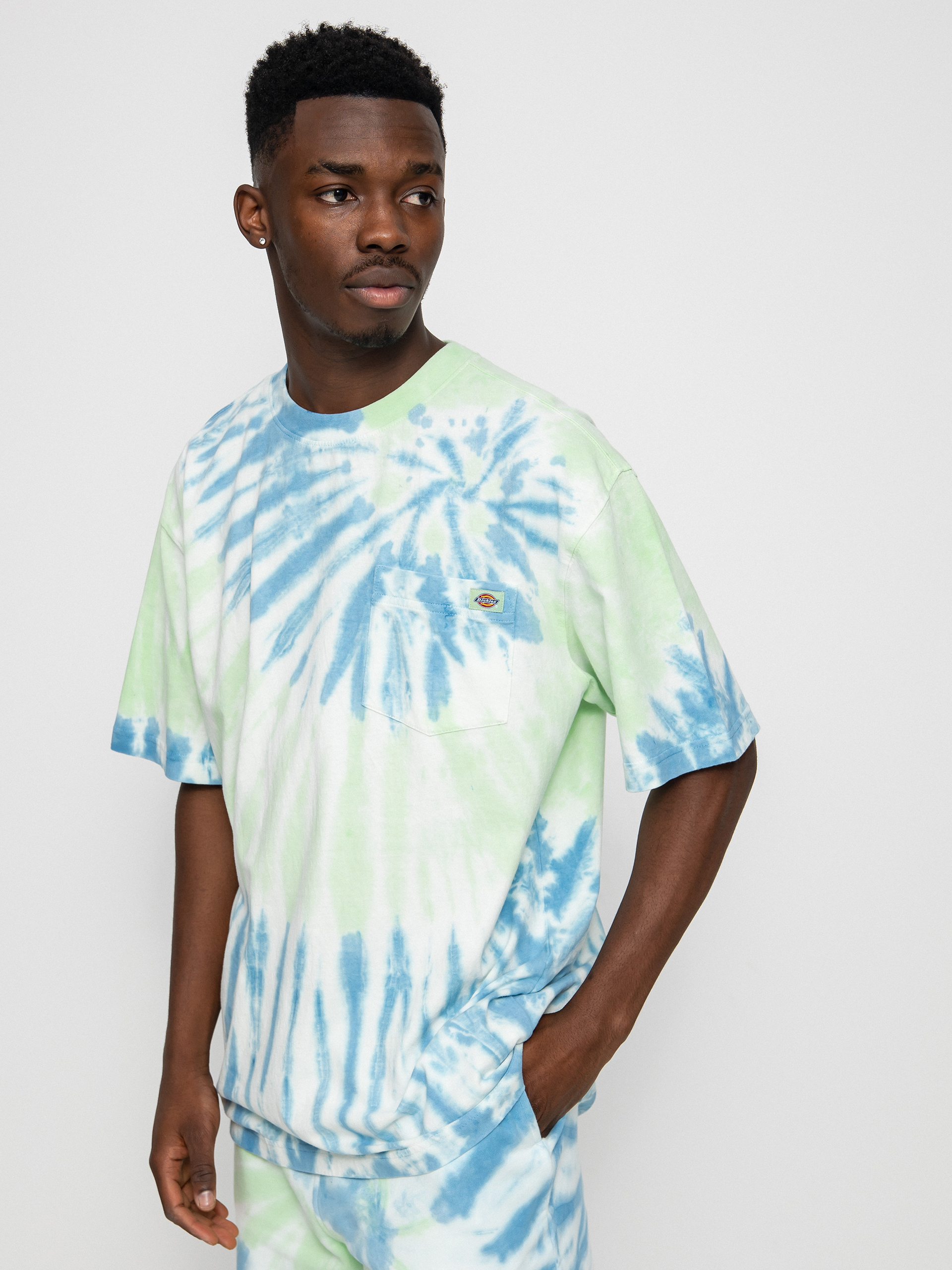 T-shirt Dickies Seatac (celadon green)