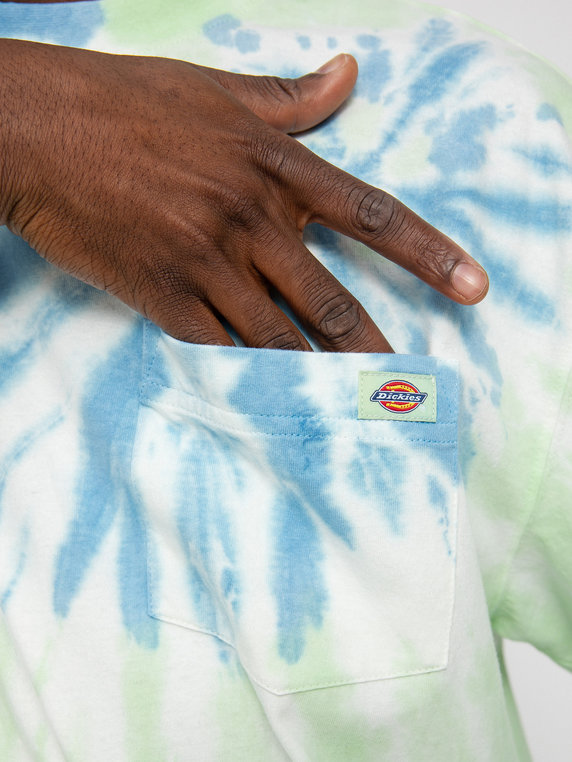 T-shirt Dickies Seatac (celadon green)