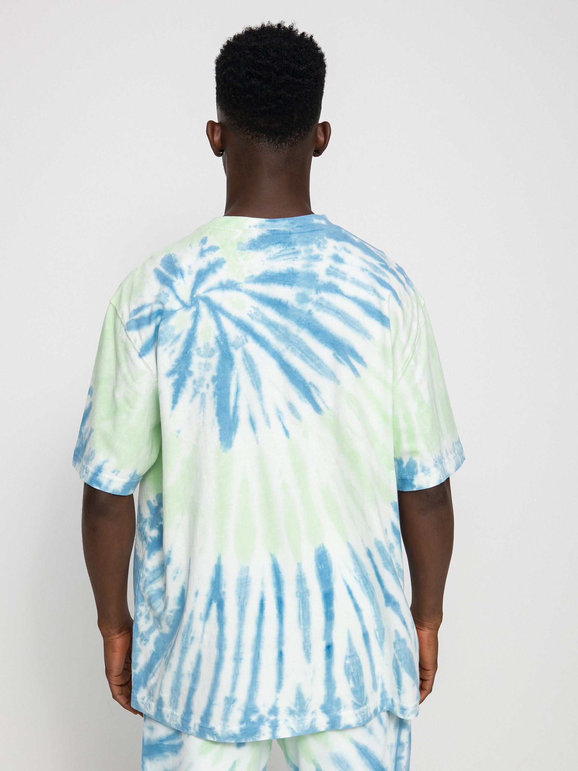 T-shirt Dickies Seatac (celadon green)