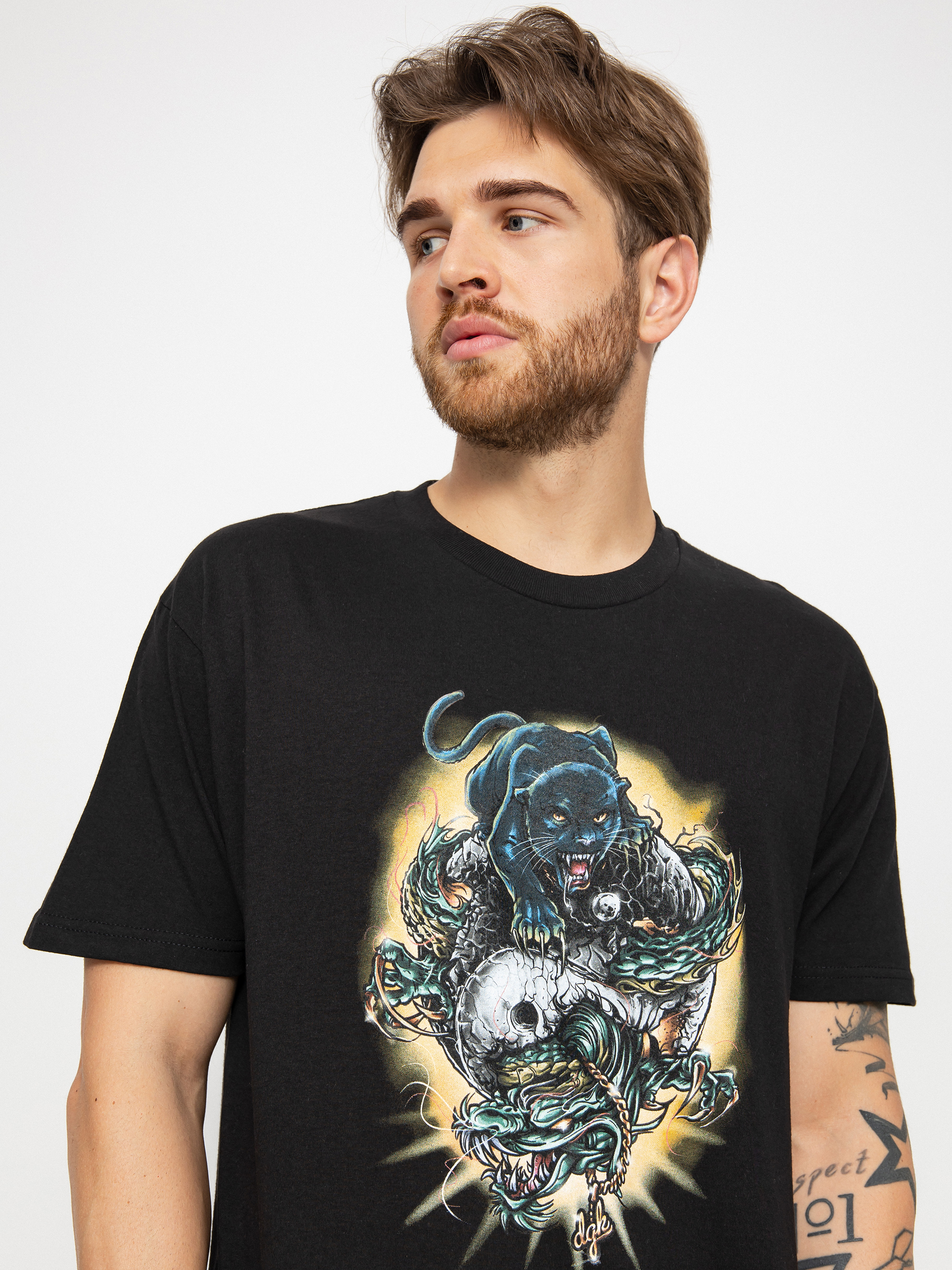 T-shirt DGK Roam (black)