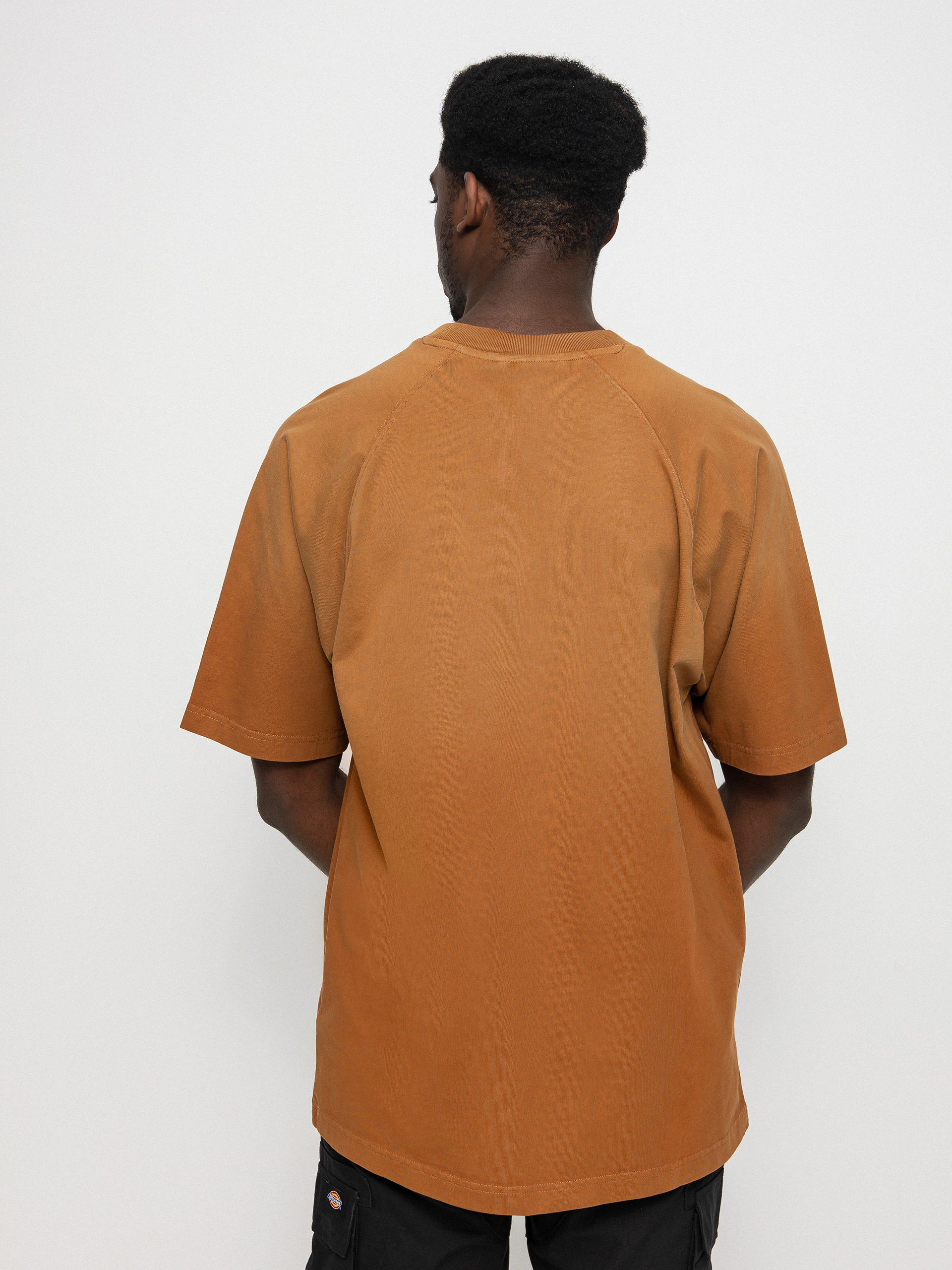 T-shirt Carhartt WIP Sol (hamilton brown sun faded)