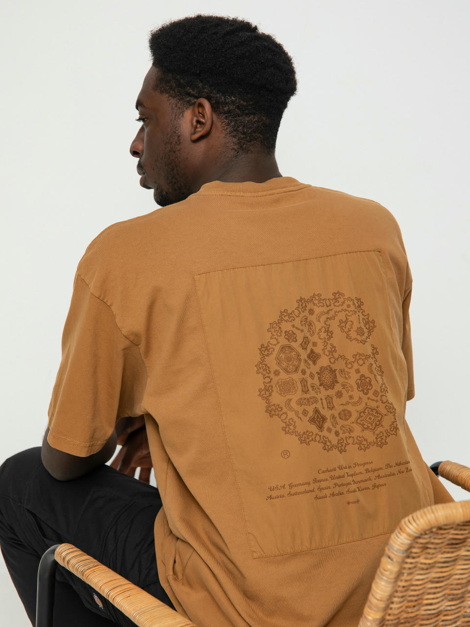 T-shirt Carhartt WIP Verse Patch (hamilton brown)