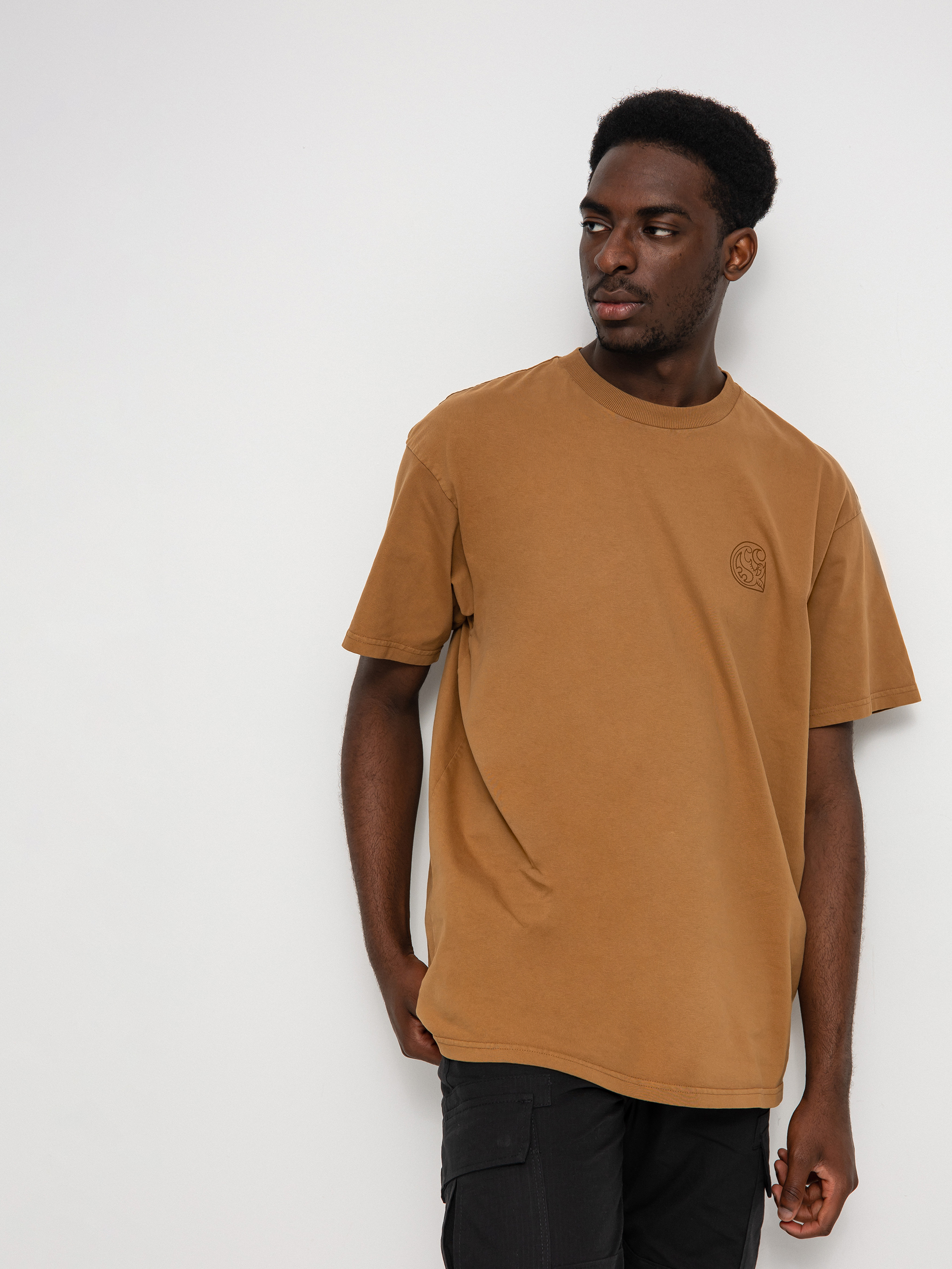 T-shirt Carhartt WIP Verse Patch (hamilton brown)
