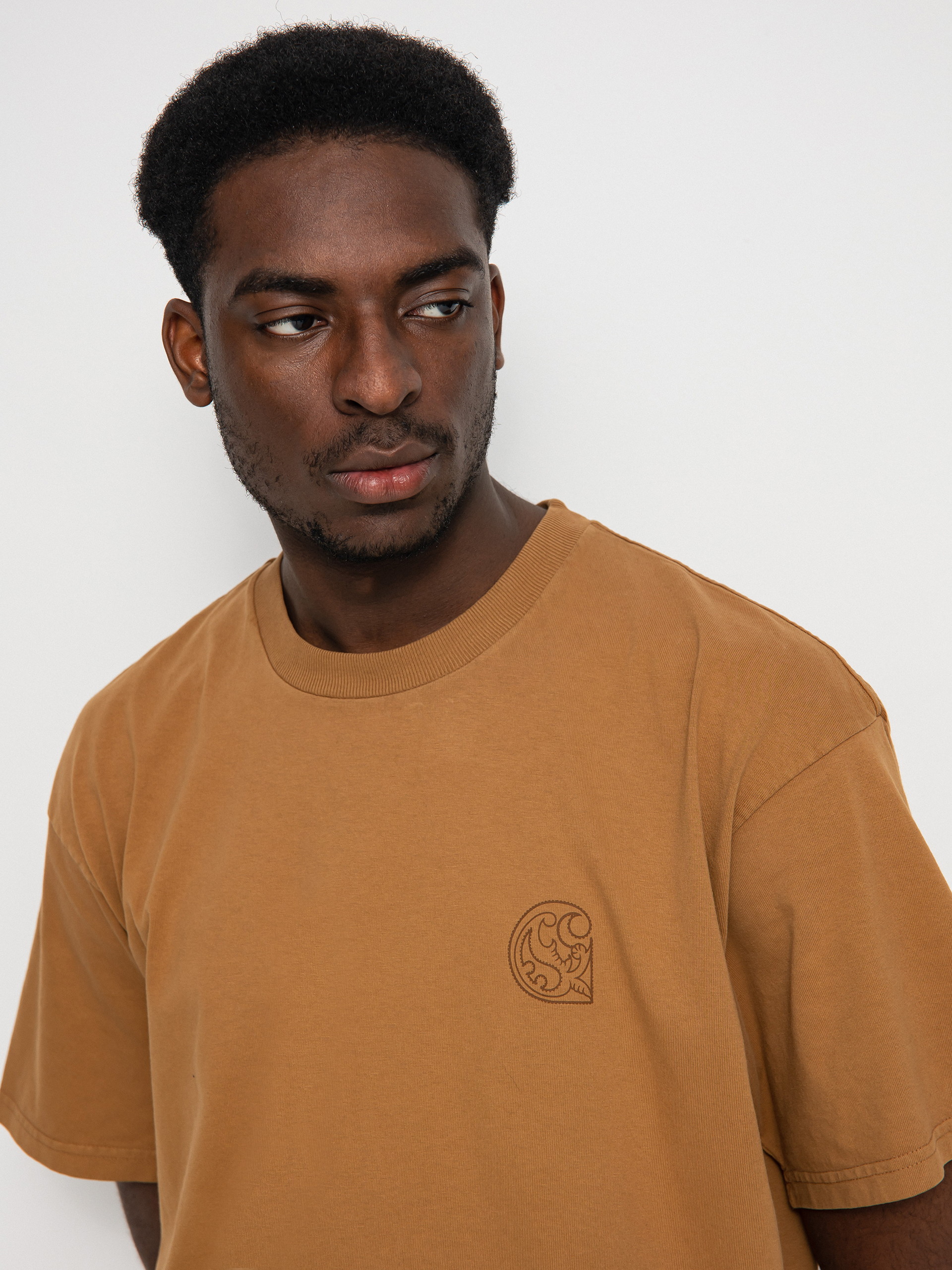 T-shirt Carhartt WIP Verse Patch (hamilton brown)