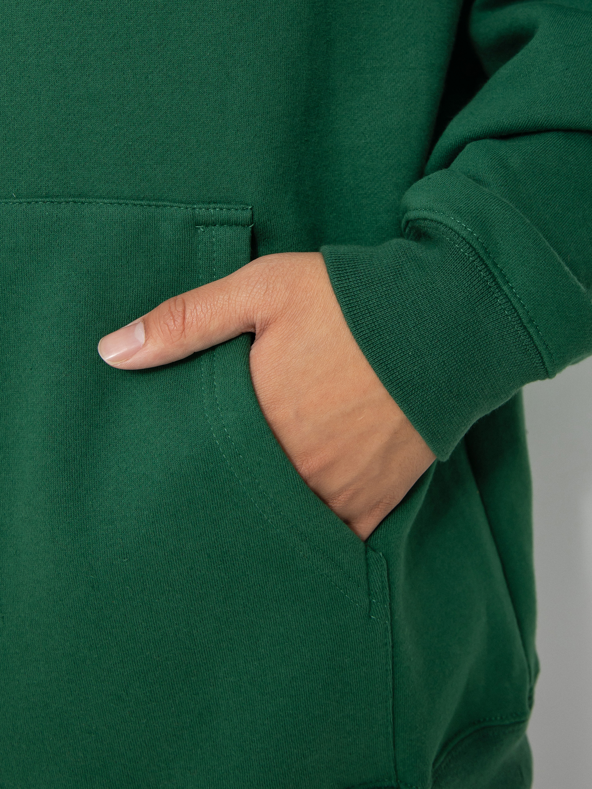 Bluza z kapturem Antihero Eagle HD (dark green/brown)