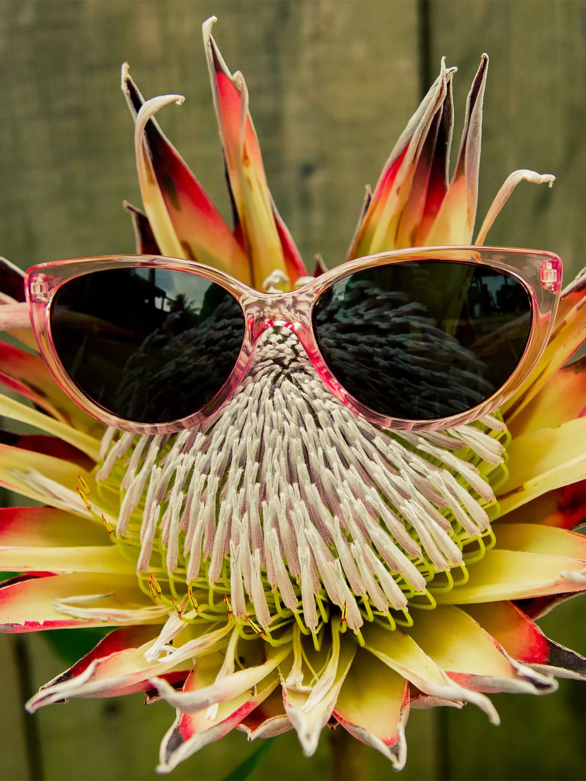 Okulary przeciwsłoneczne Volcom Butter Wmn (crystal light pink/gray)