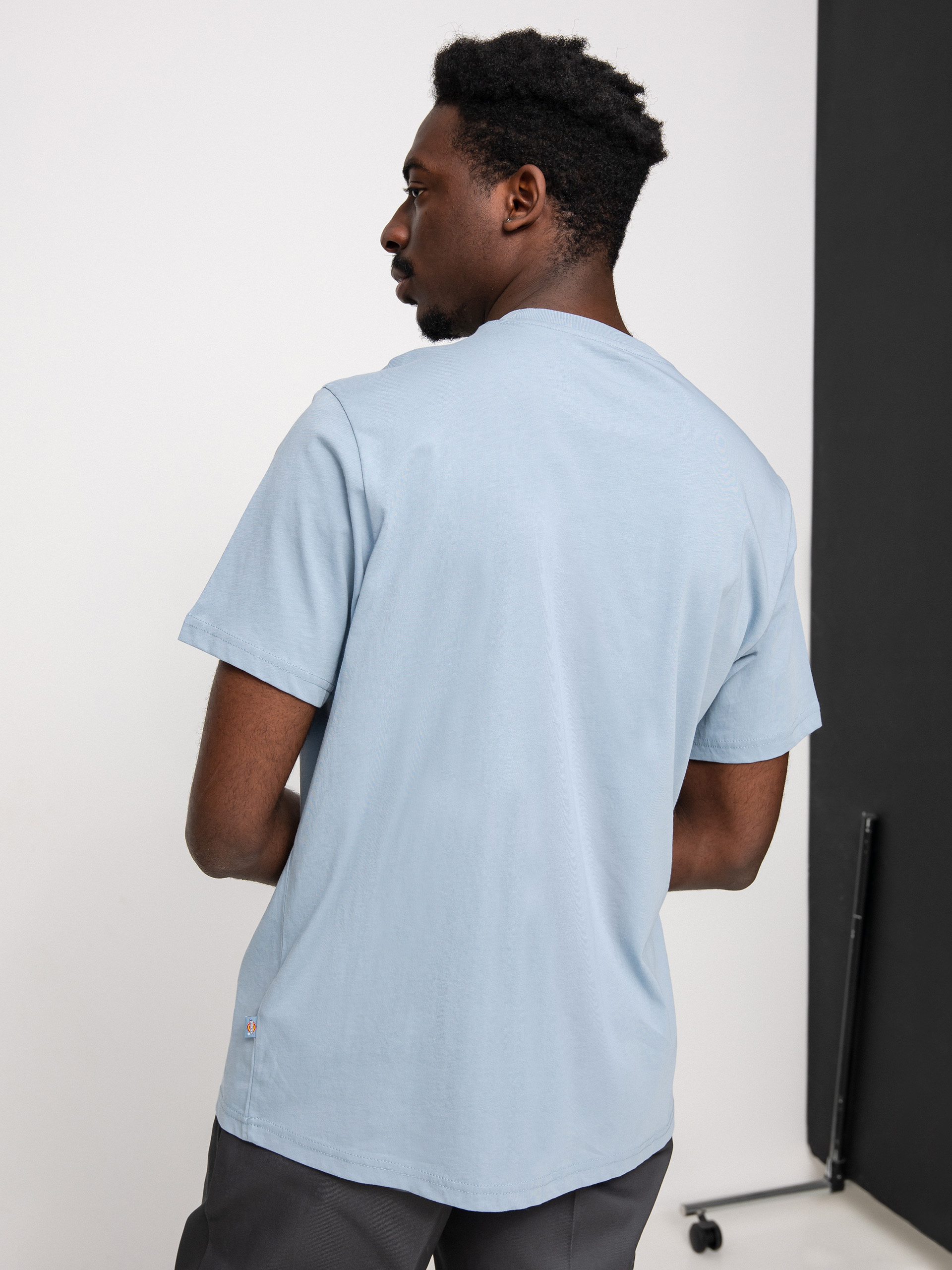 T-shirt Dickies Mapleton (ashley blue)