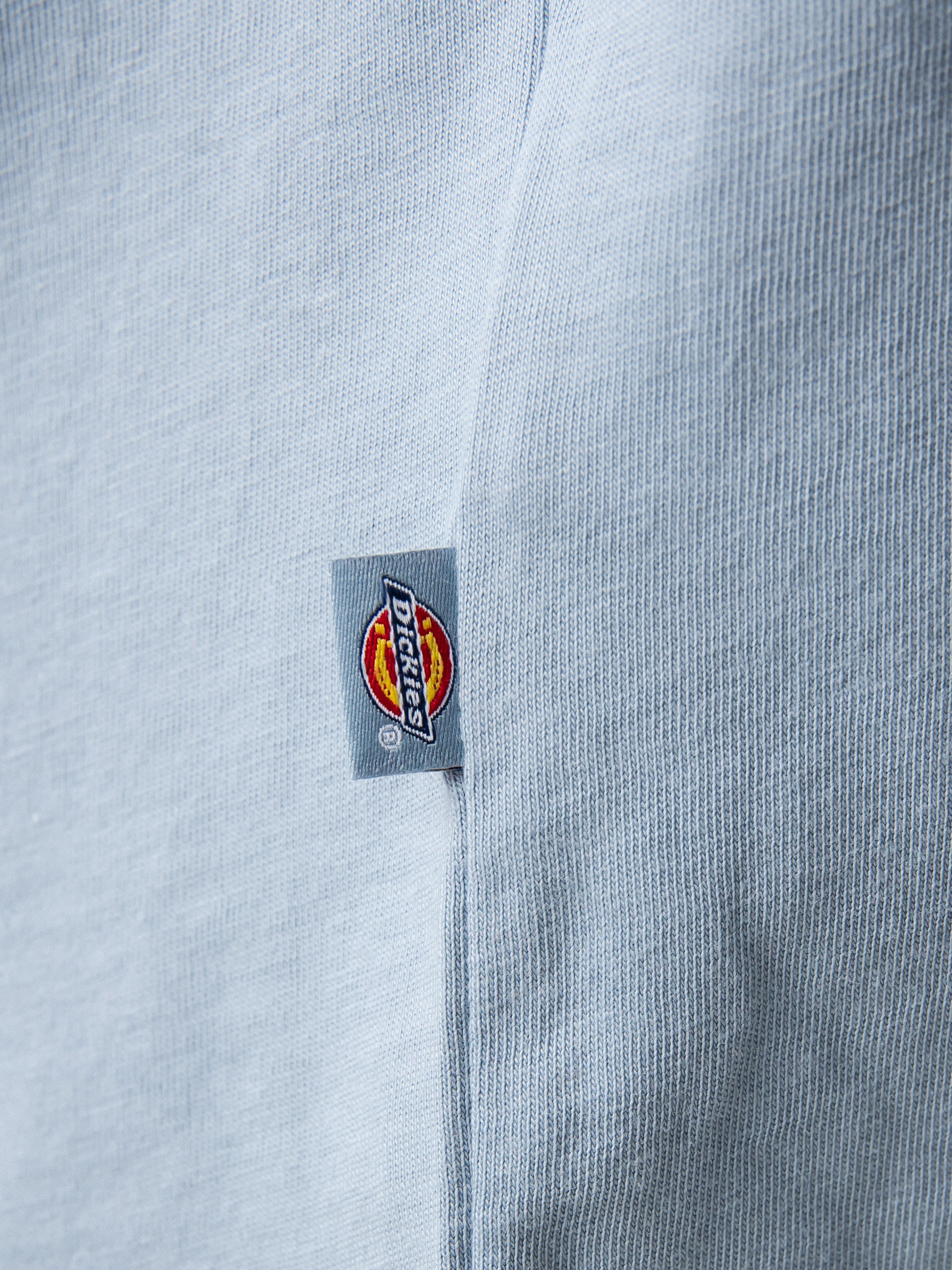 T-shirt Dickies Mapleton (ashley blue)