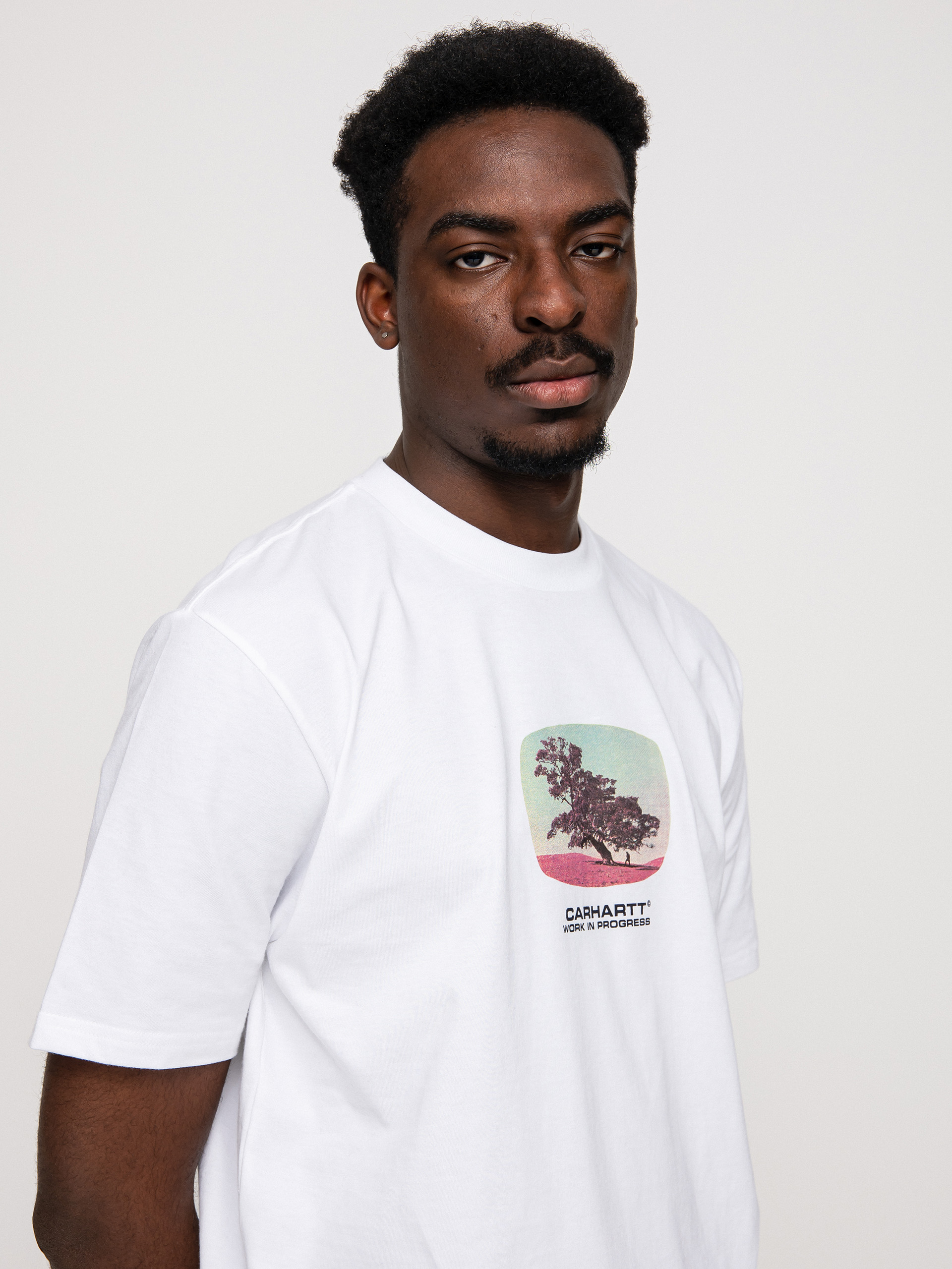 T-shirt Carhartt WIP Seeds (white)