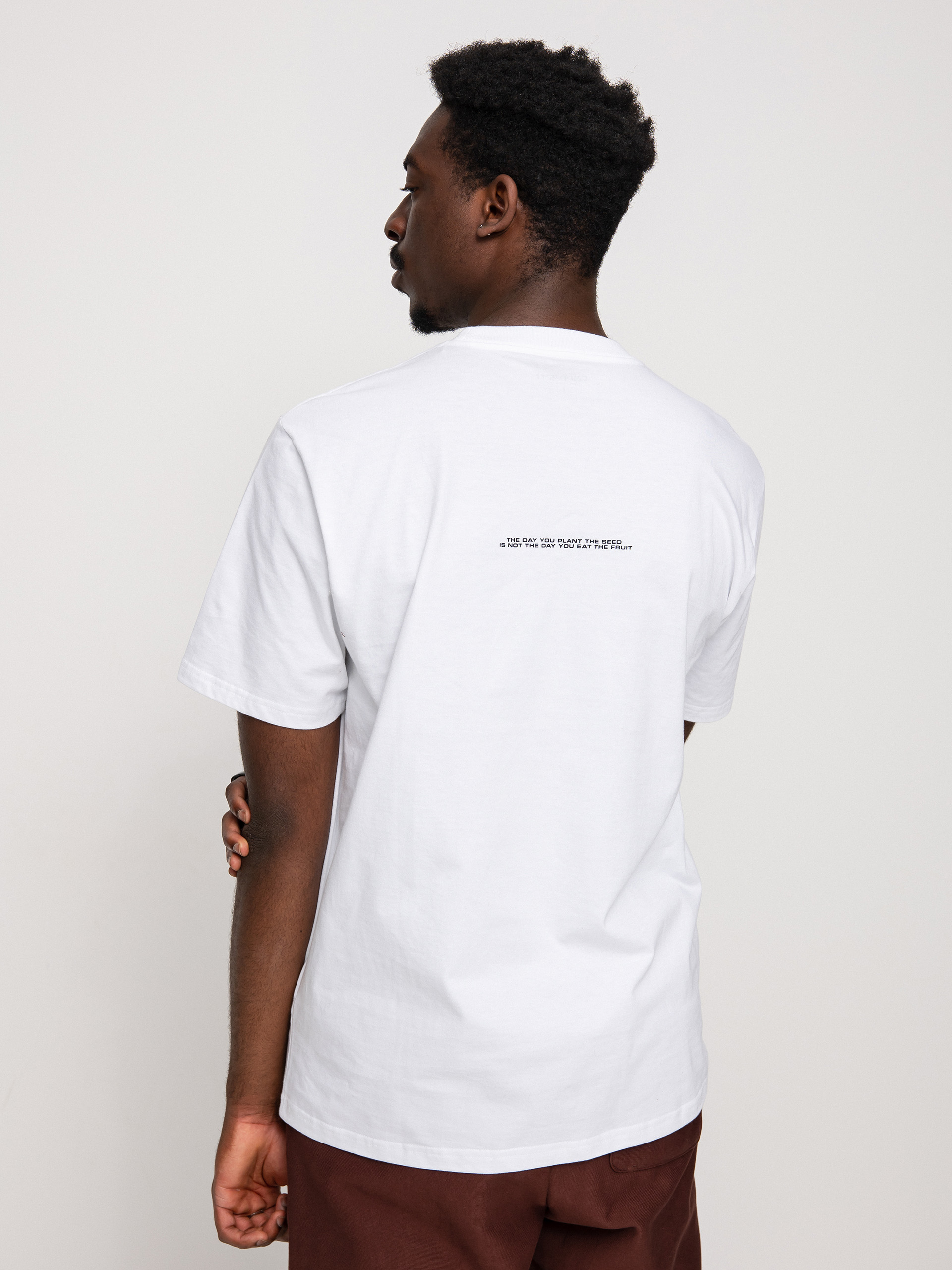T-shirt Carhartt WIP Seeds (white)