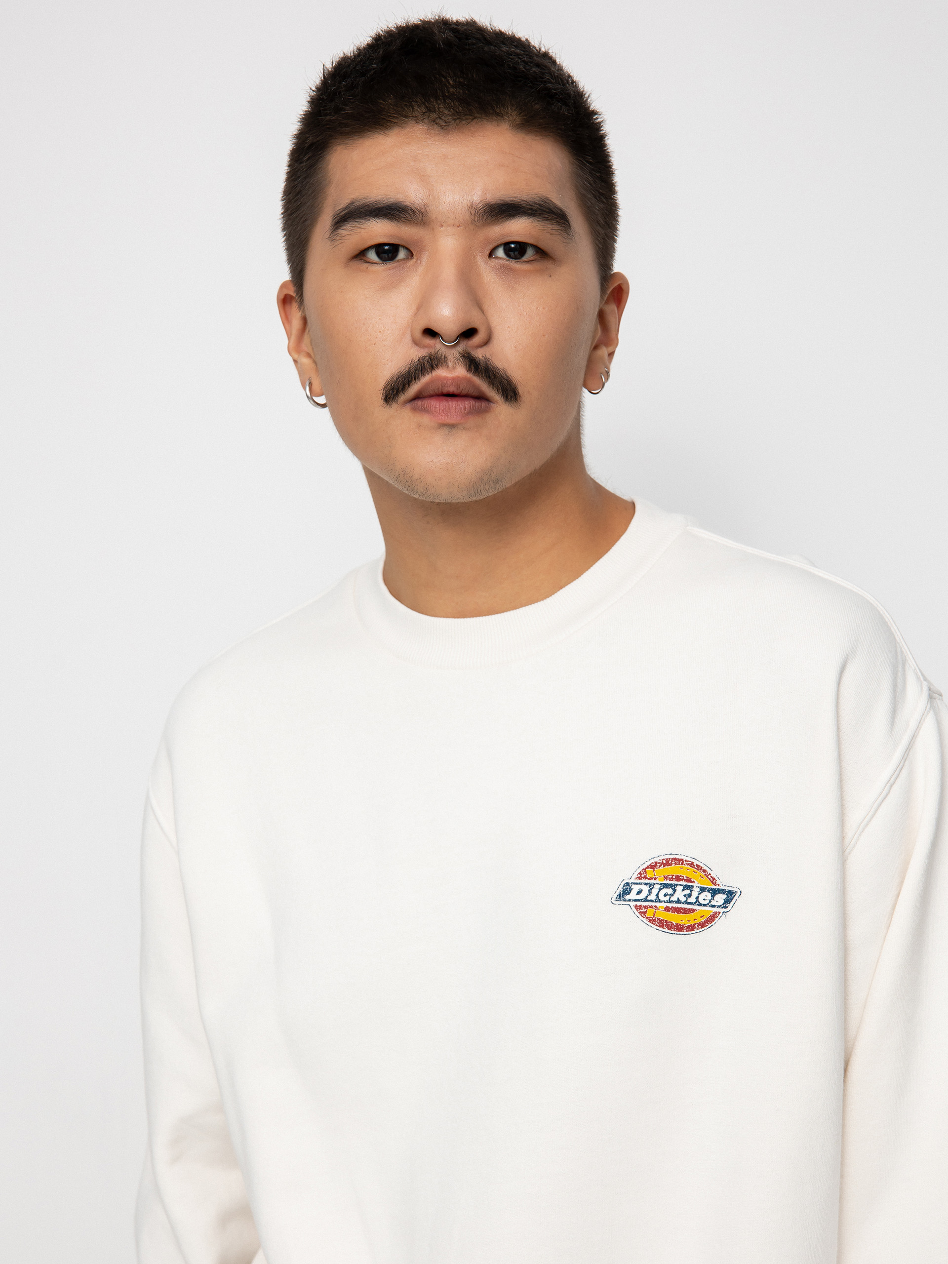 Bluza Dickies Icon Washed (ecru)