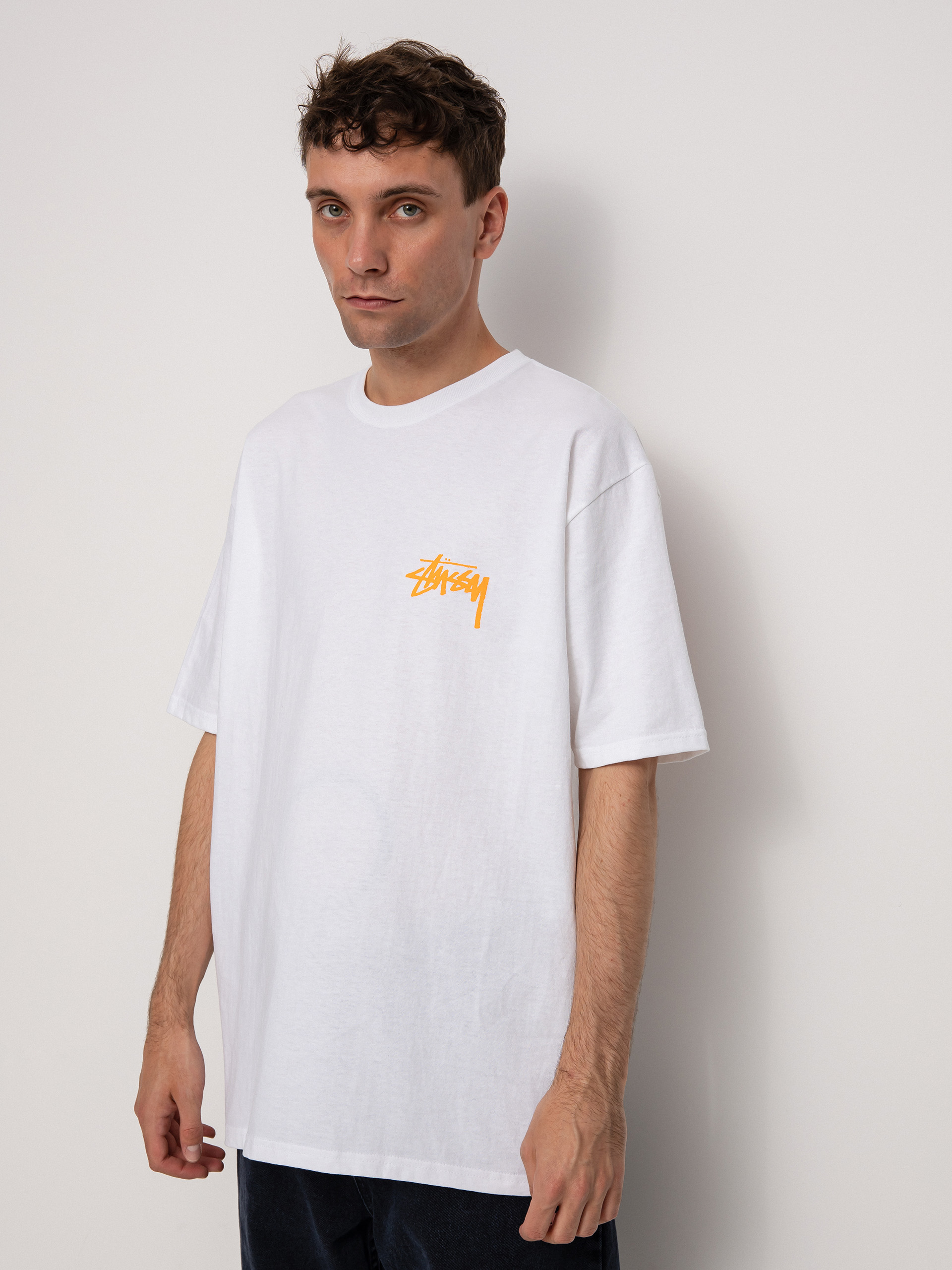 T-shirt Stussy Coastline (white)