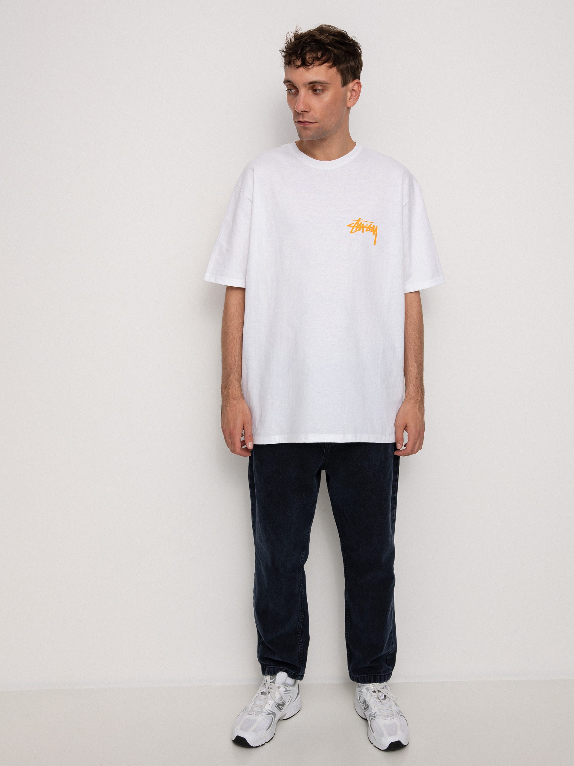 T-shirt Stussy Coastline (white)