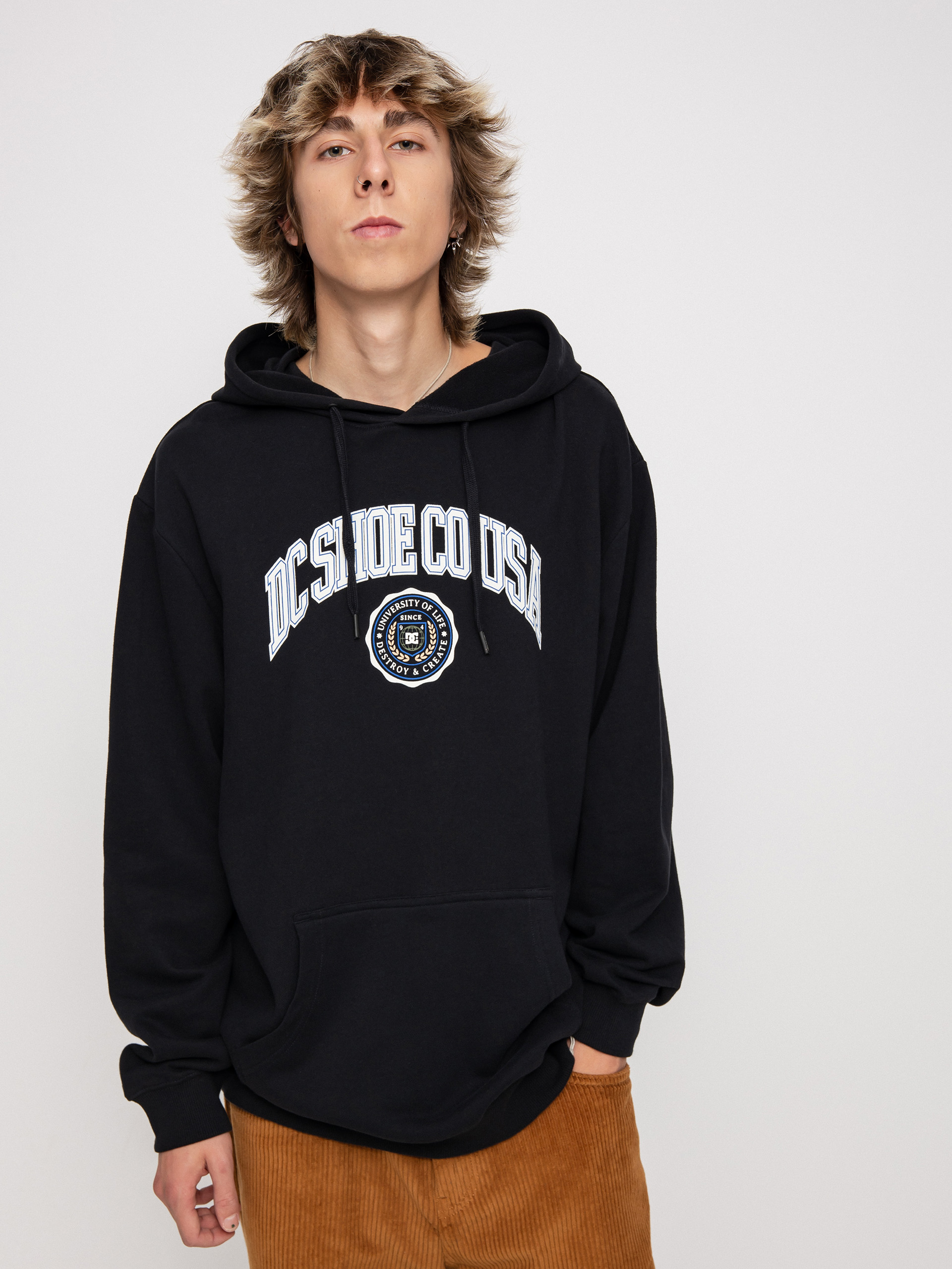 Bluza z kapturem DC Life Changes HD (black)