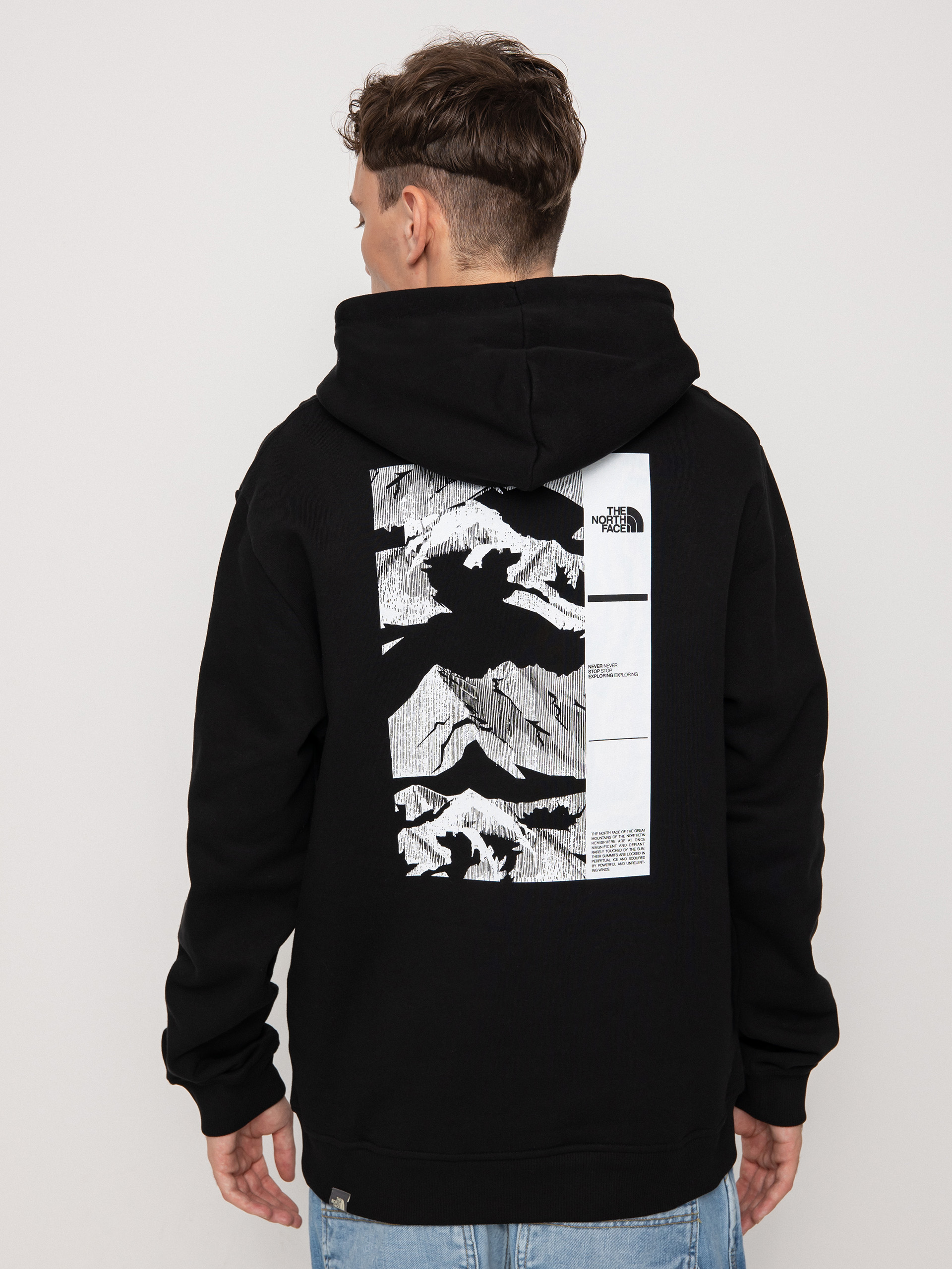 Bluza z kapturem The North Face Coordinates HD (tnf black)