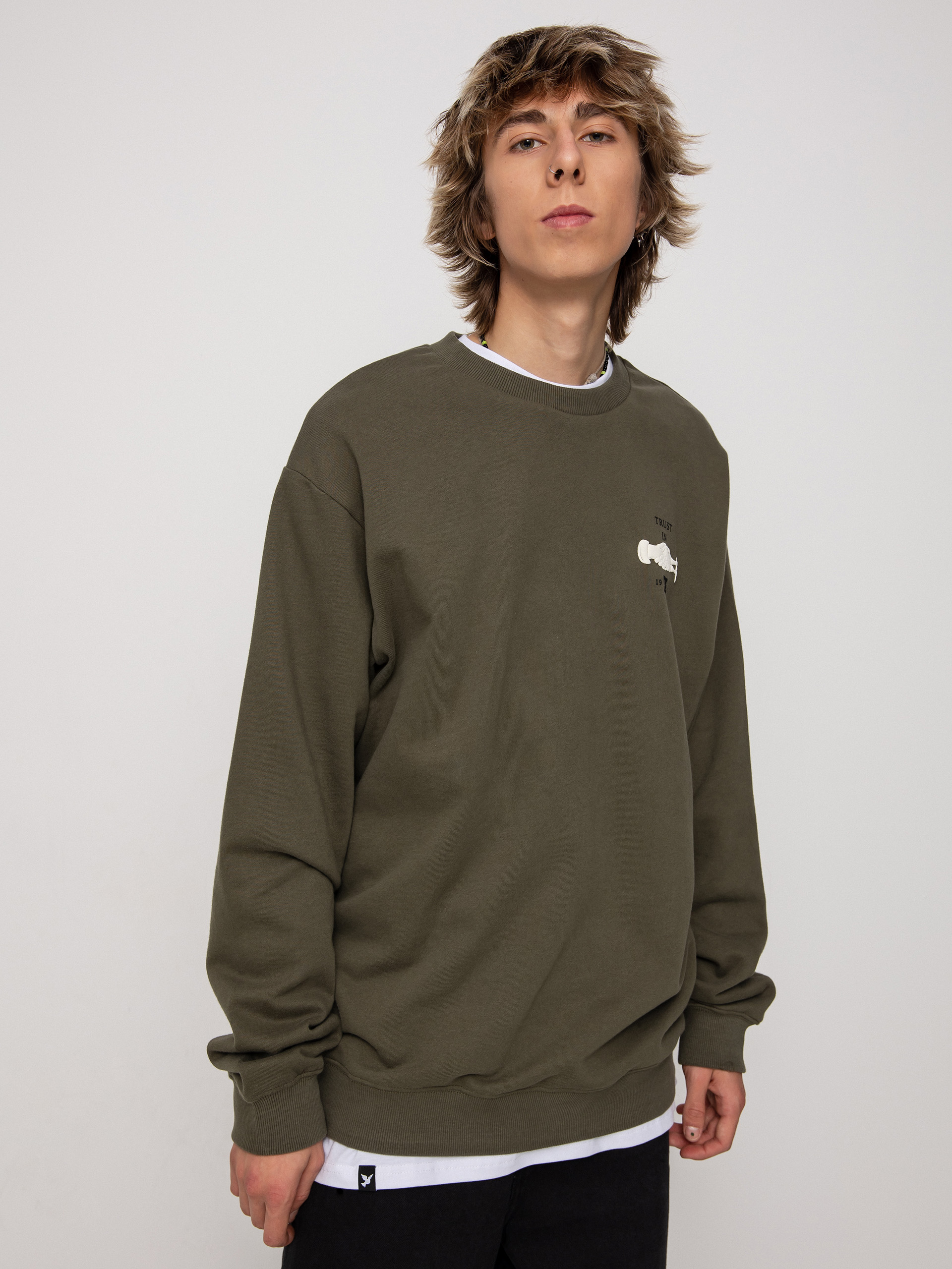 Bluza DC Trust Us (ivy green)