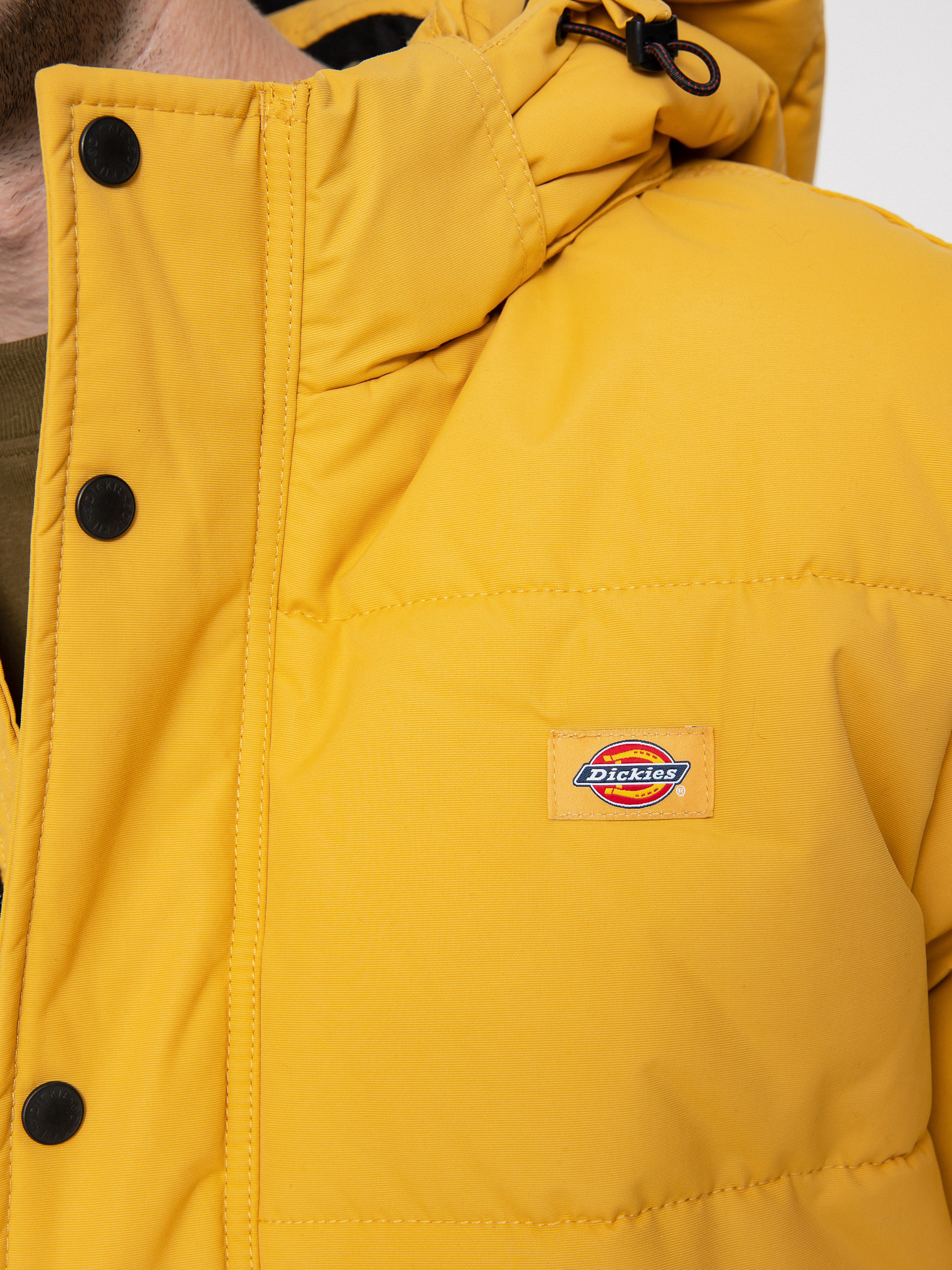 Kurtka Dickies Glacier View Puffer (honey gold)