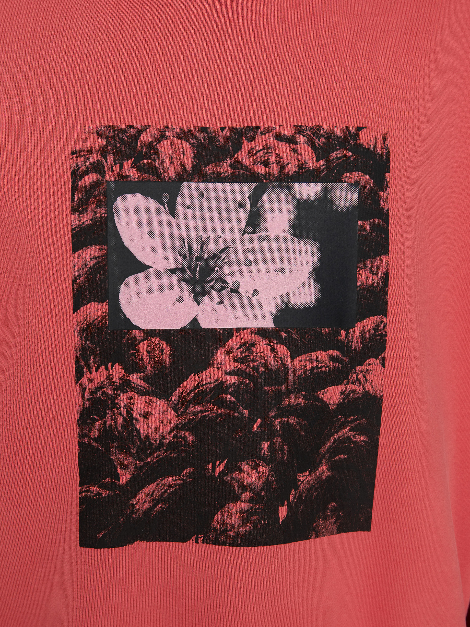 Bluza Nike SB Natural Boarder (adobe)