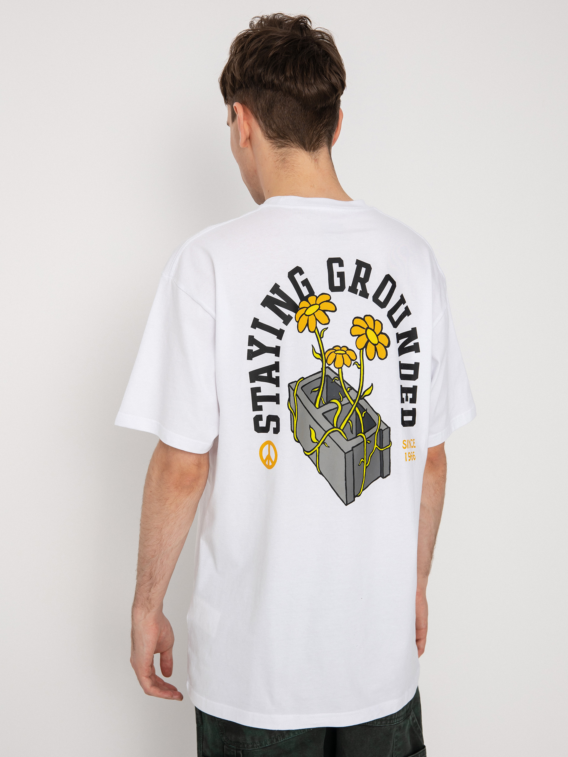 T-shirt Vans Staying Grounded (white/black)