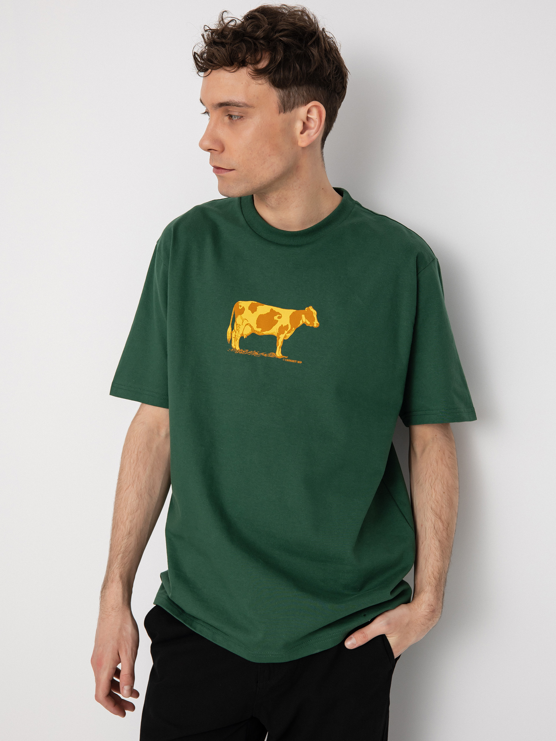 T-shirt Carhartt WIP Ranch (treehouse)