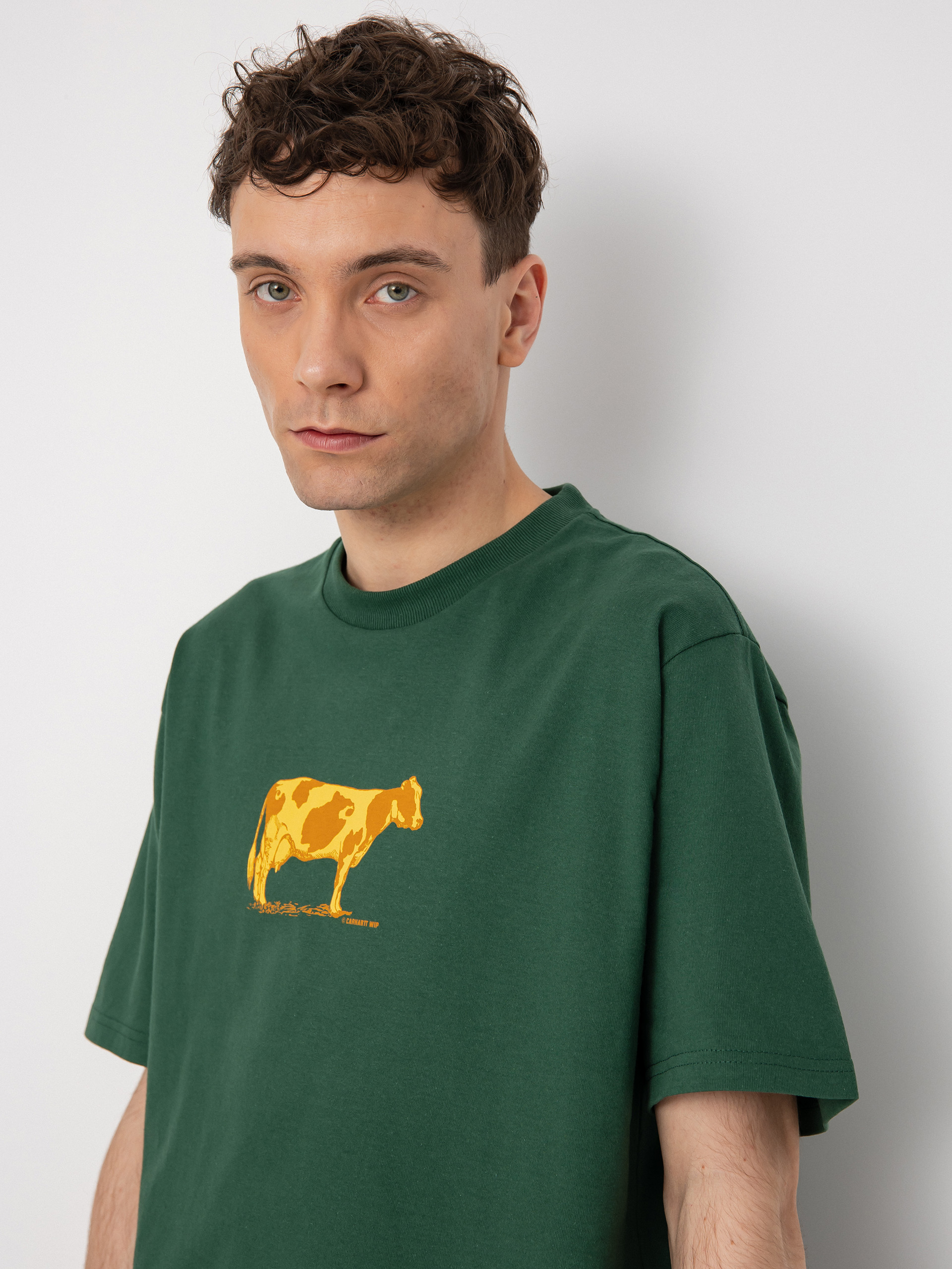 T-shirt Carhartt WIP Ranch (treehouse)