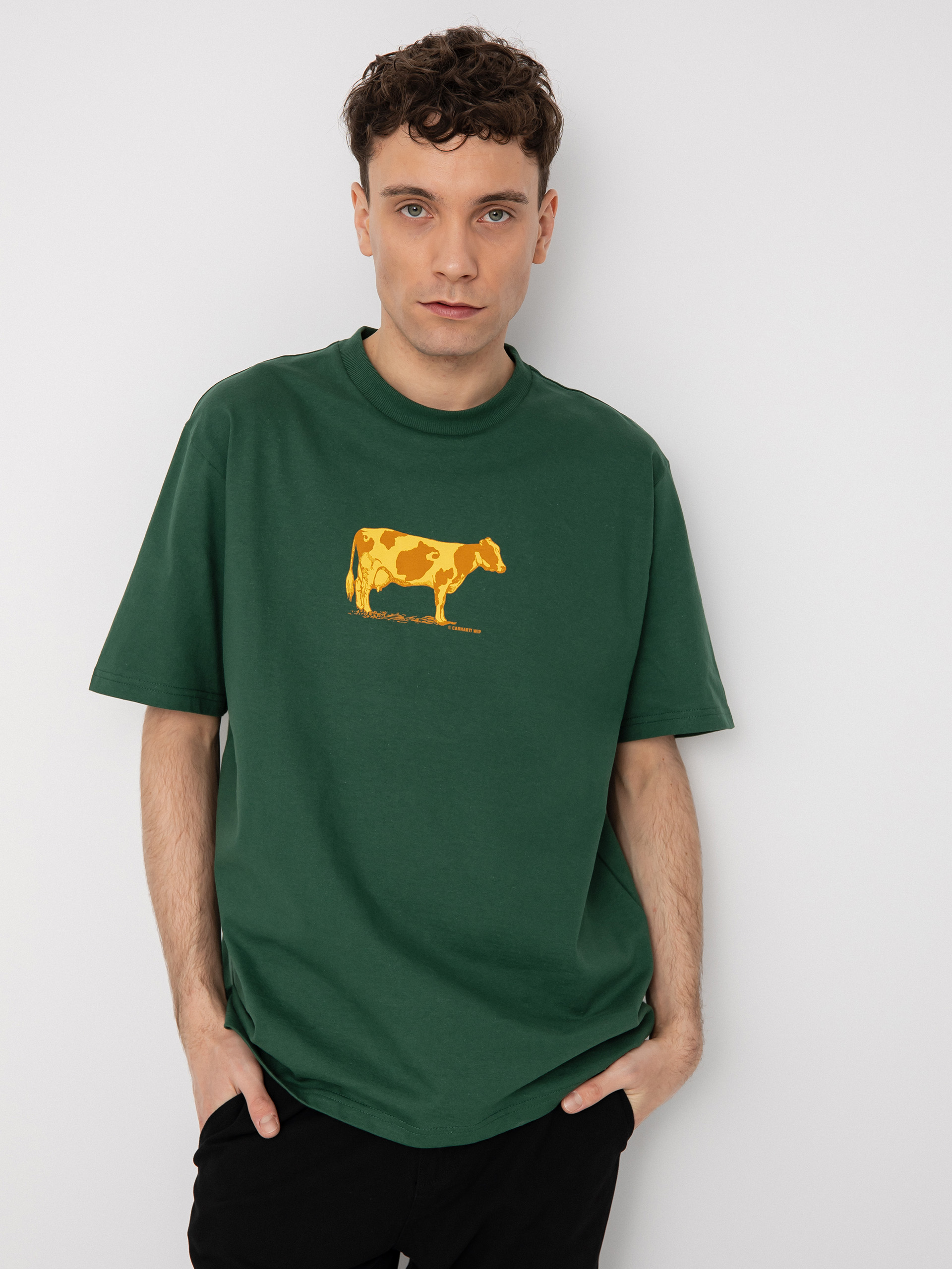 T-shirt Carhartt WIP Ranch (treehouse)