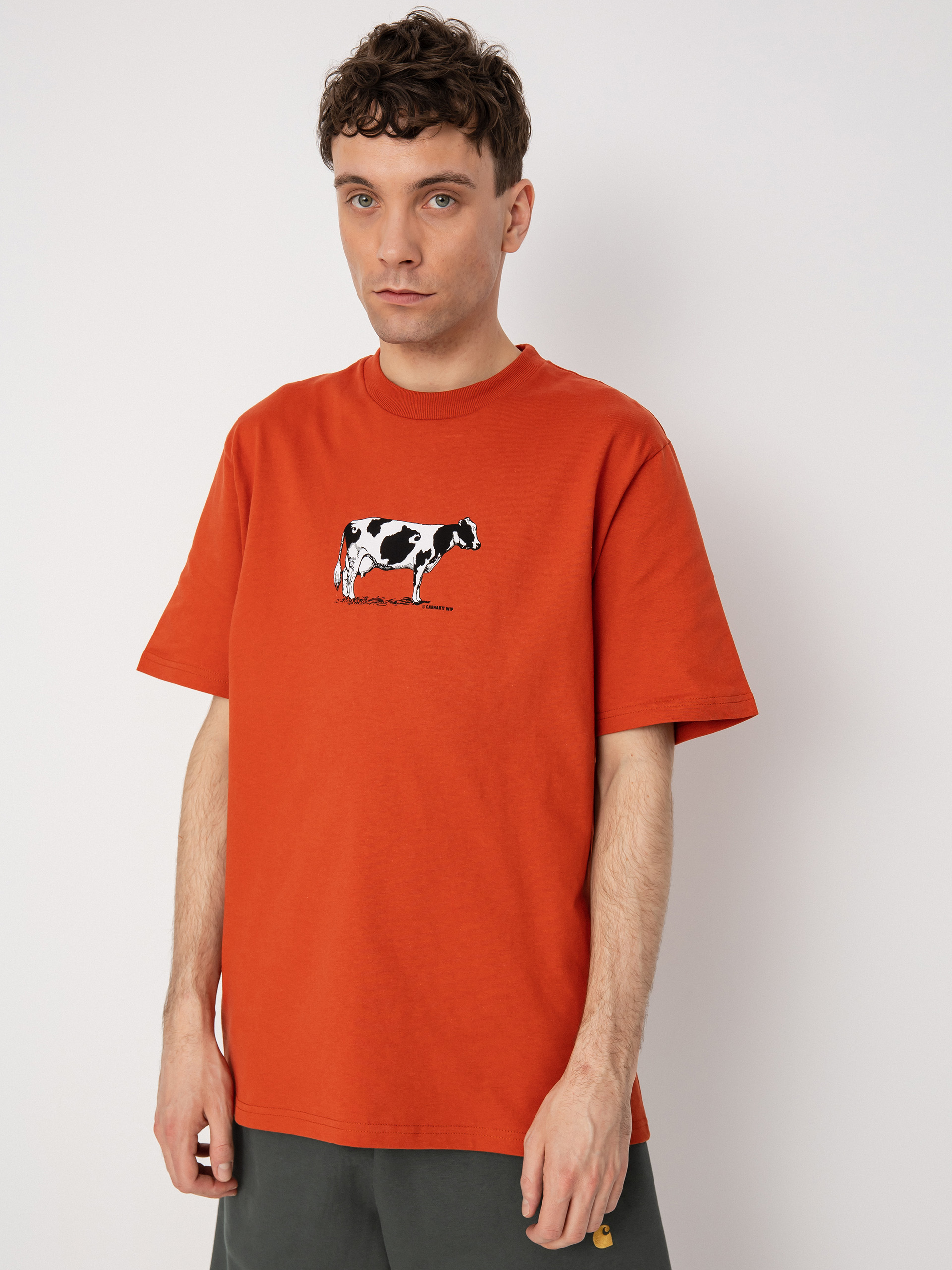 T-shirt Carhartt WIP Ranch (phoenix)
