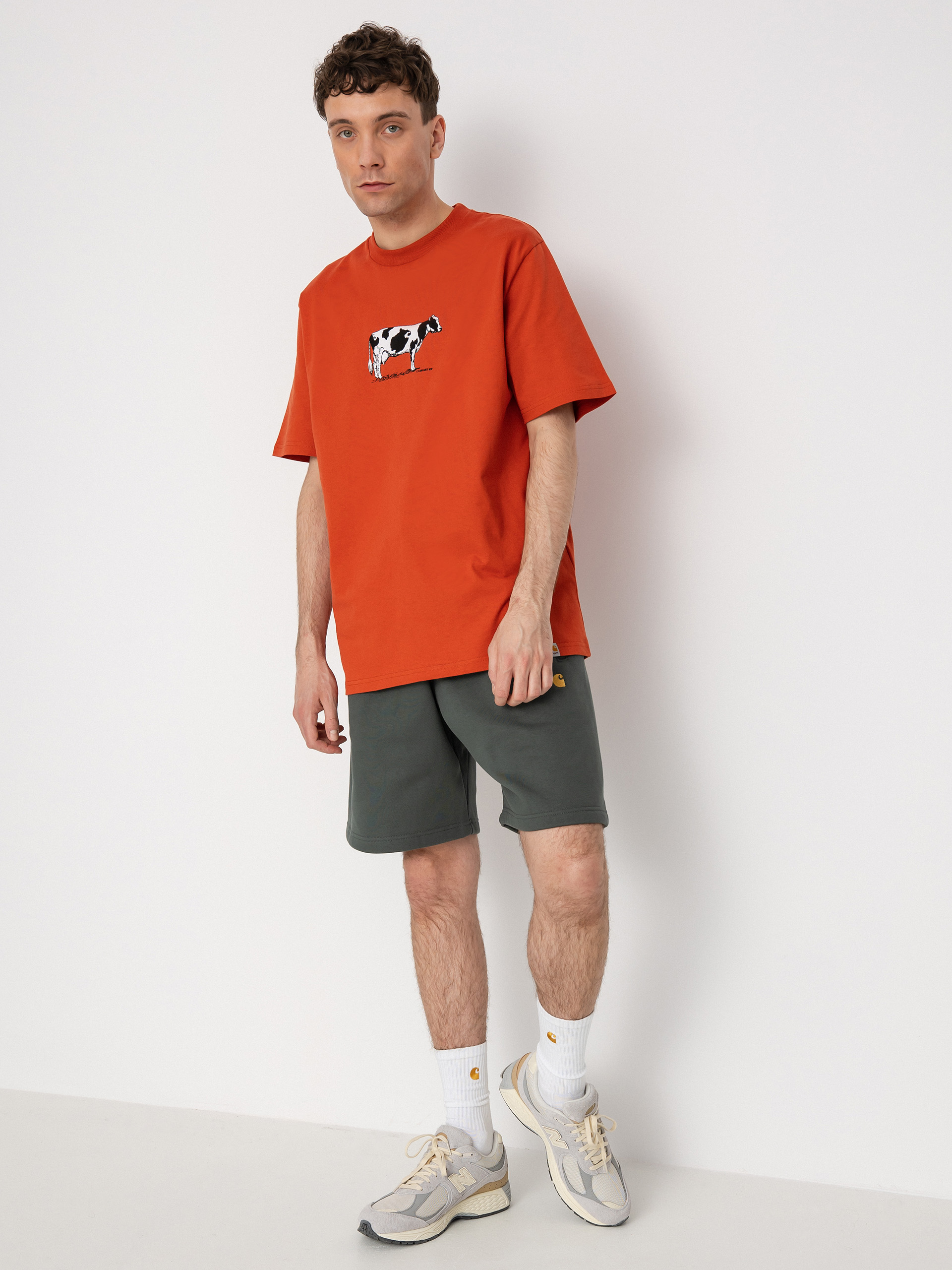 T-shirt Carhartt WIP Ranch (phoenix)