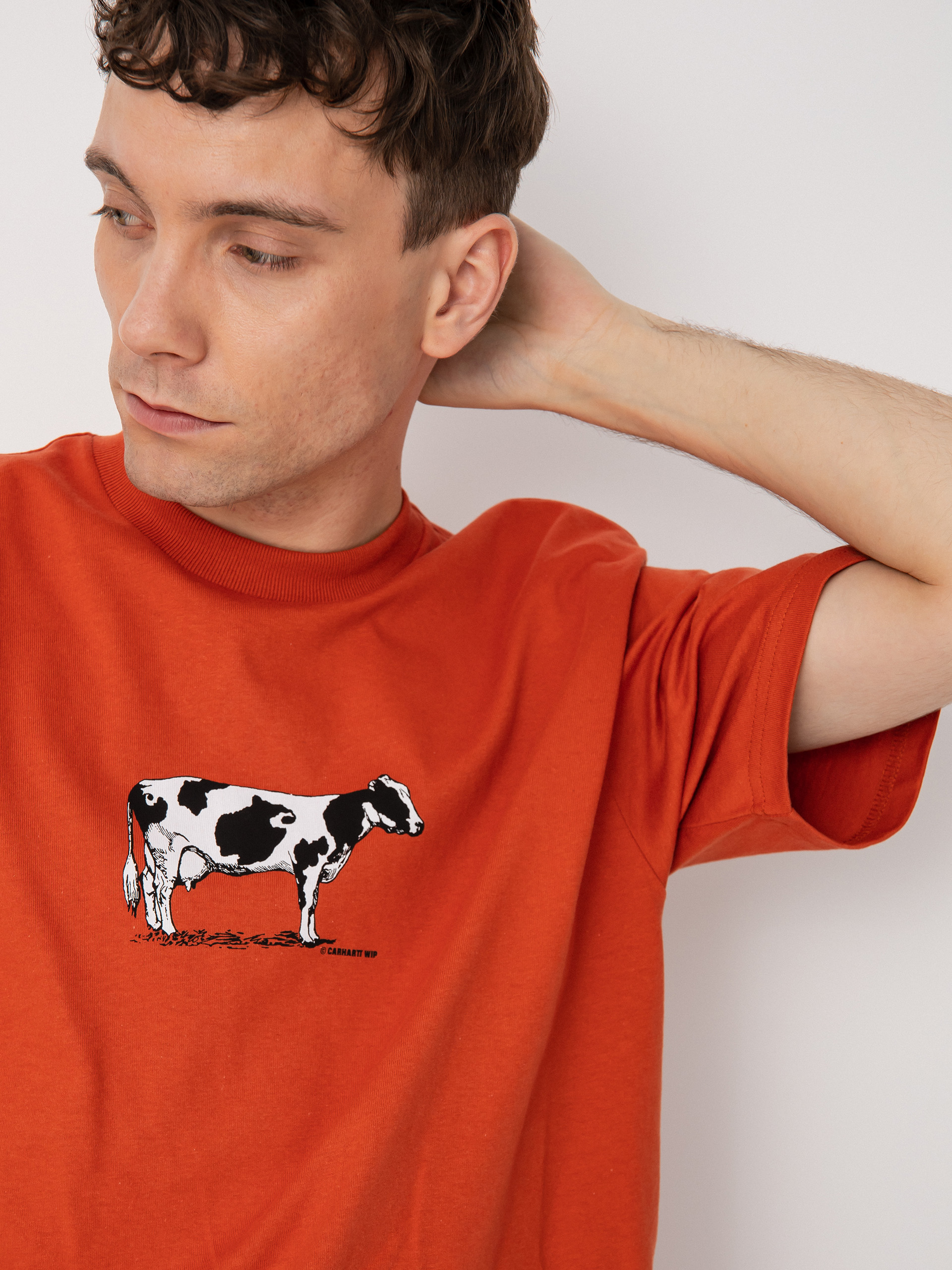 T-shirt Carhartt WIP Ranch (phoenix)