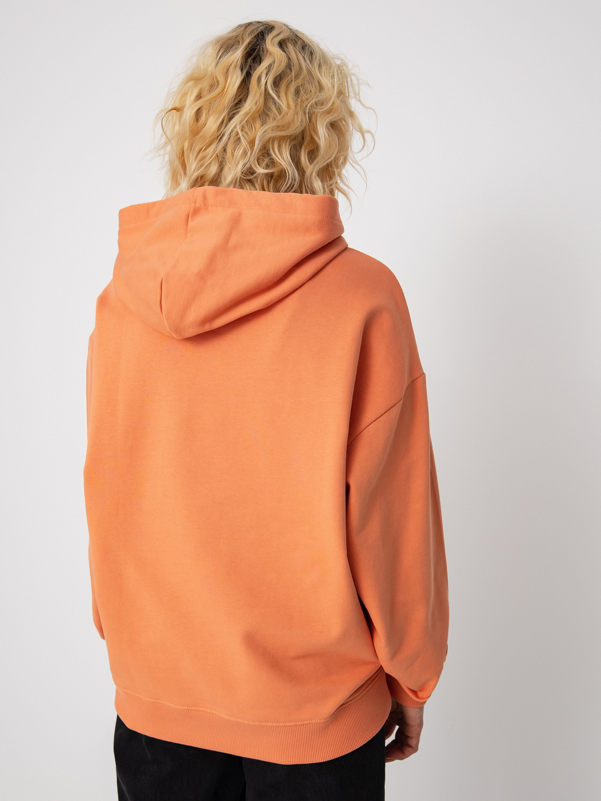 Bluza z kapturem Vans Flying V Os Ft HD Wmn (flying v sun baked)