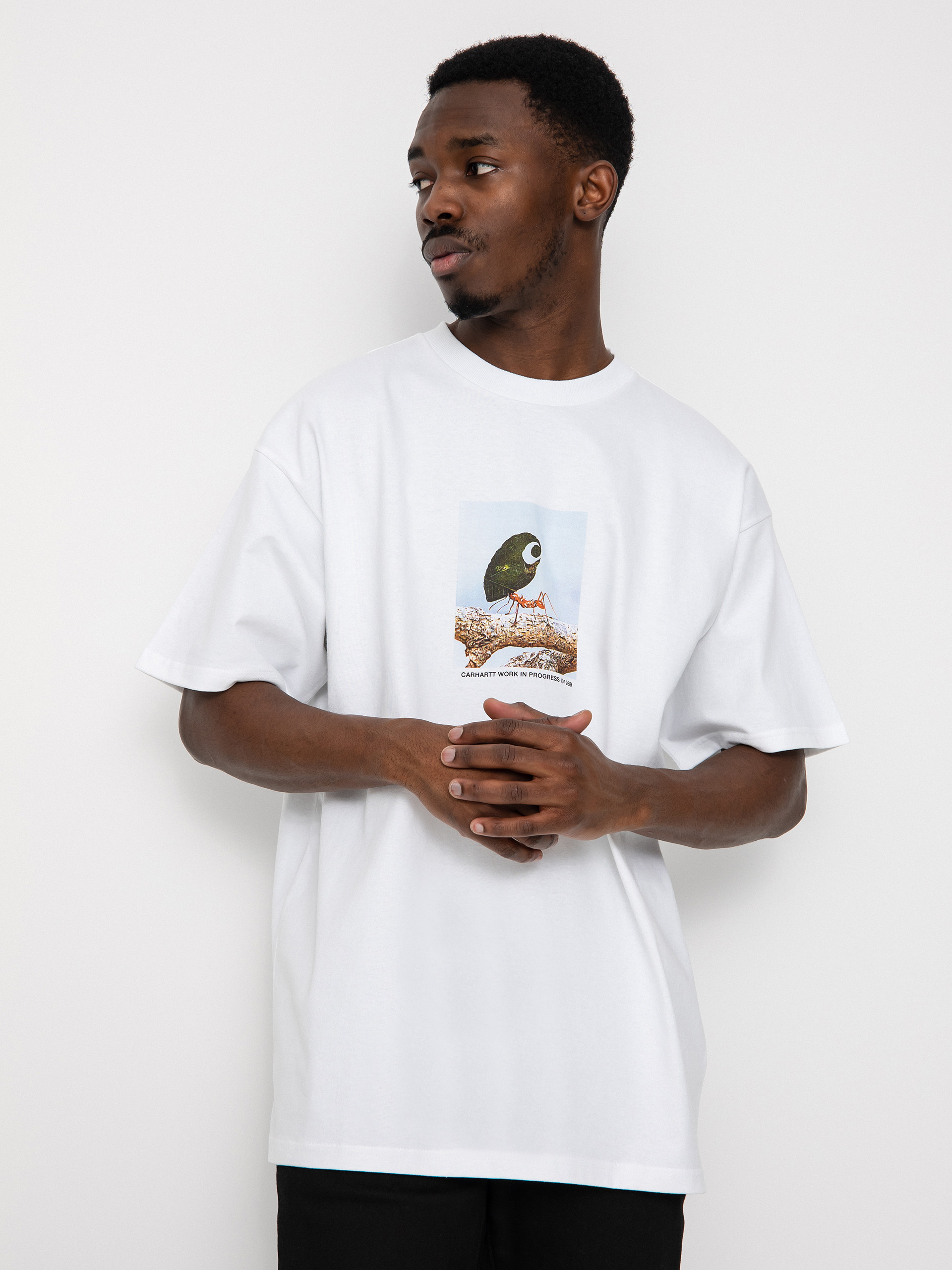 T-shirt Carhartt WIP Antleaf (white)