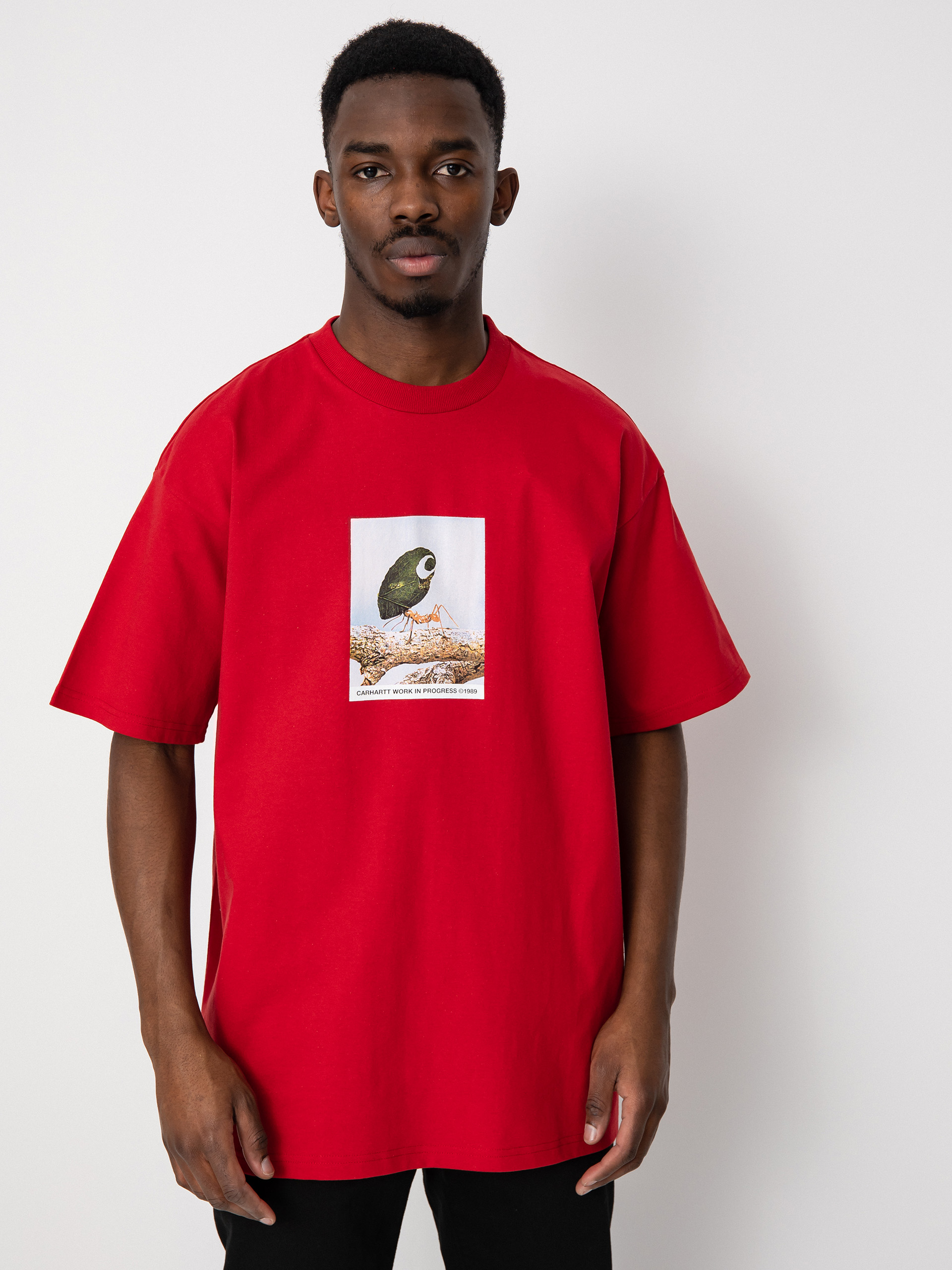 T-shirt Carhartt WIP Antleaf (arcade)