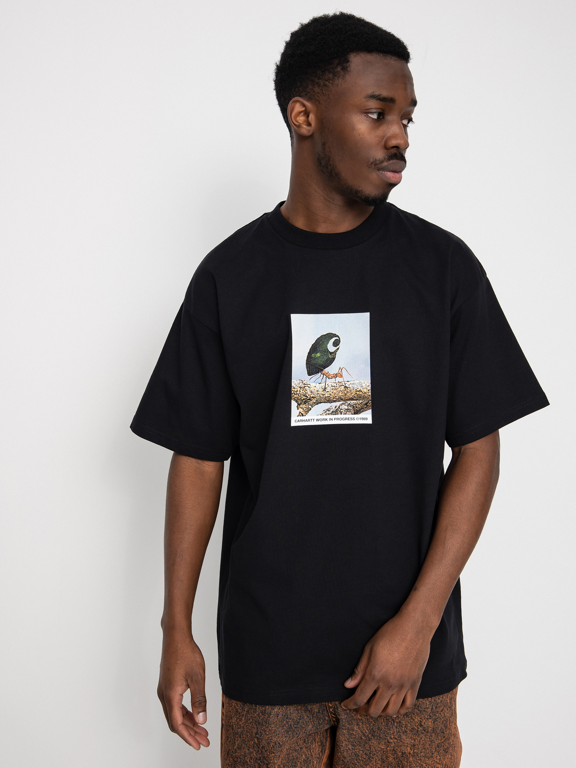T-shirt Carhartt WIP Antleaf (black)