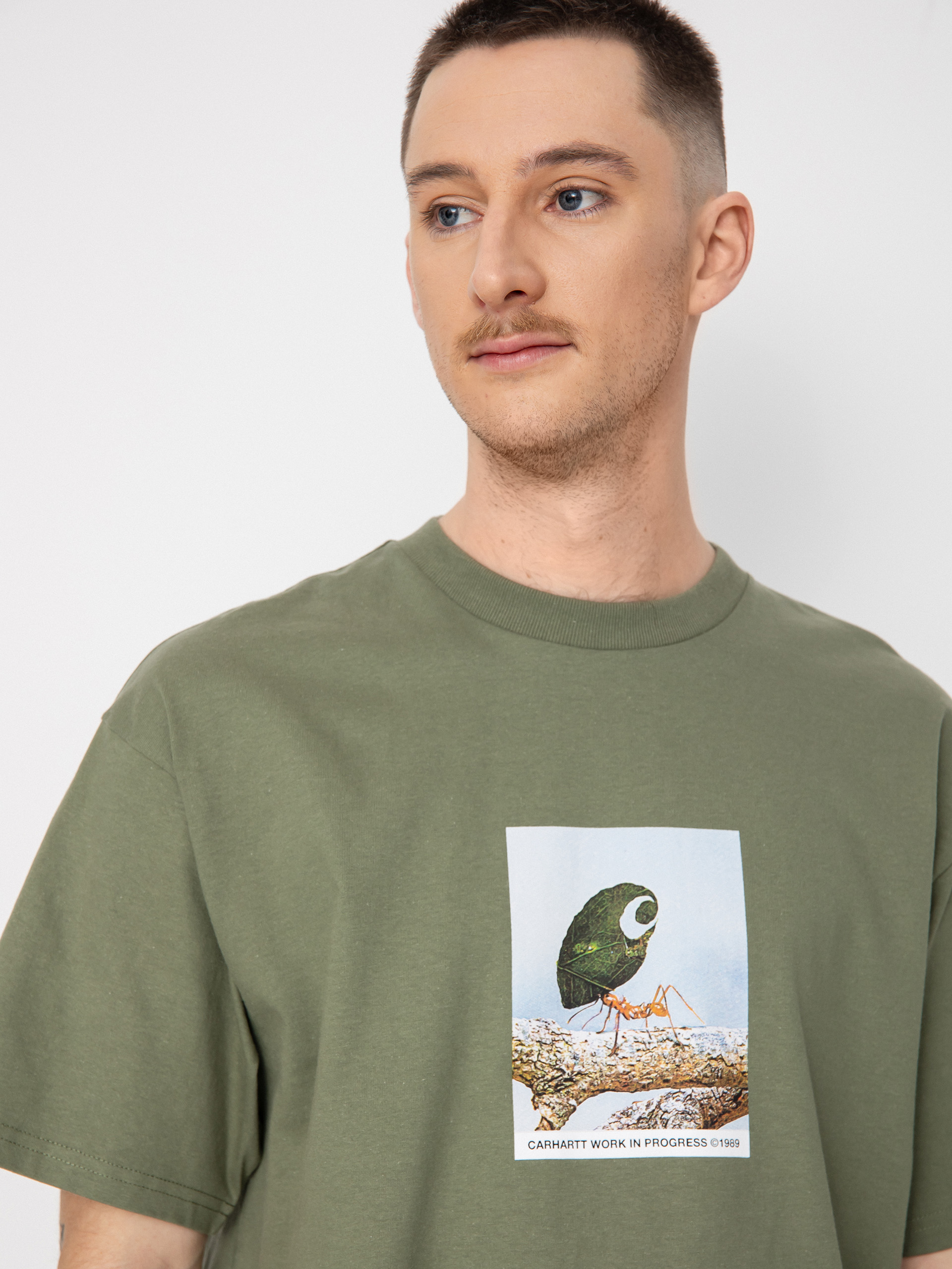 T-shirt Carhartt WIP Antleaf (dollar green)