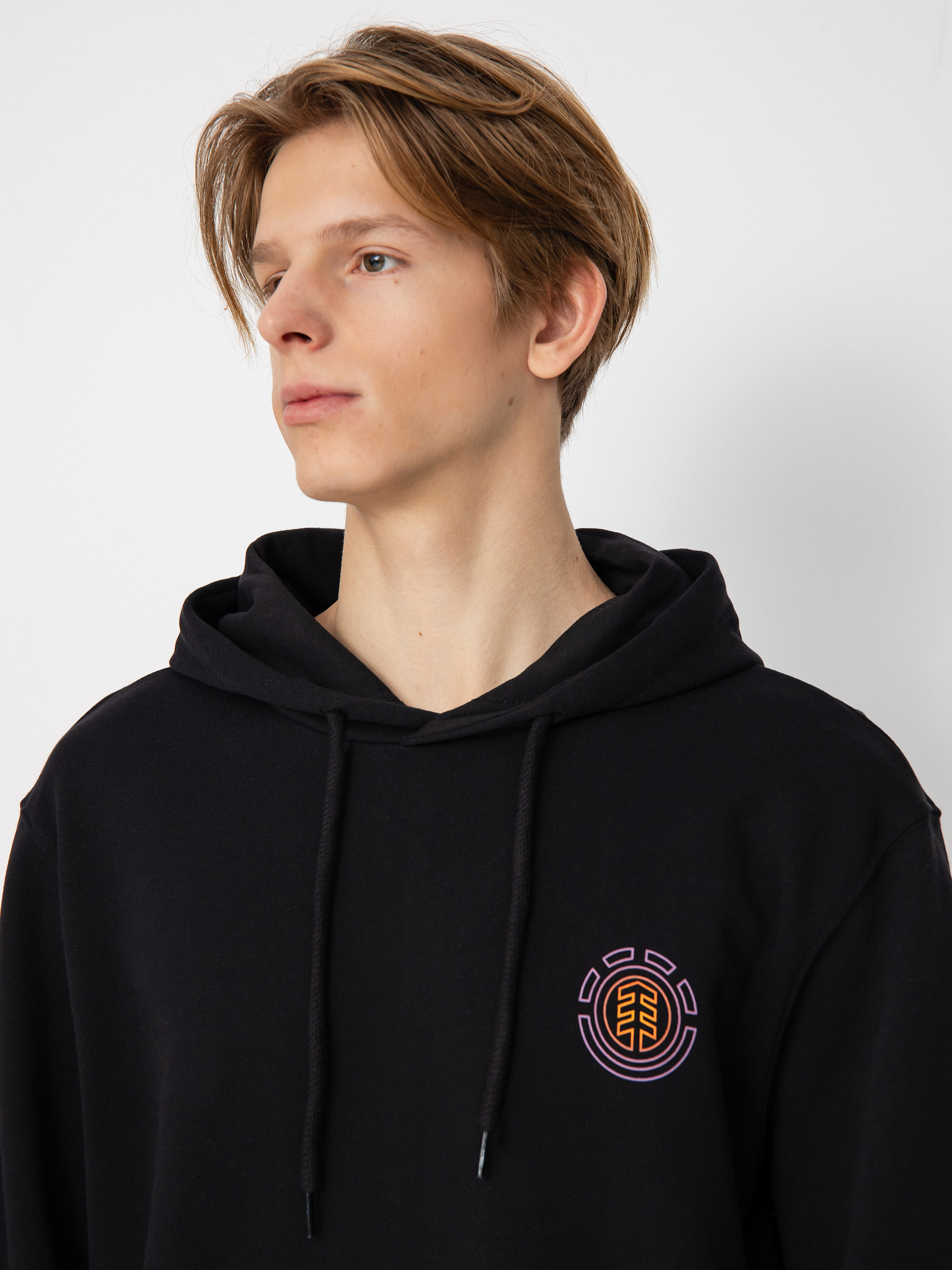 Bluza z kapturem Element Hollis HD (flint black)